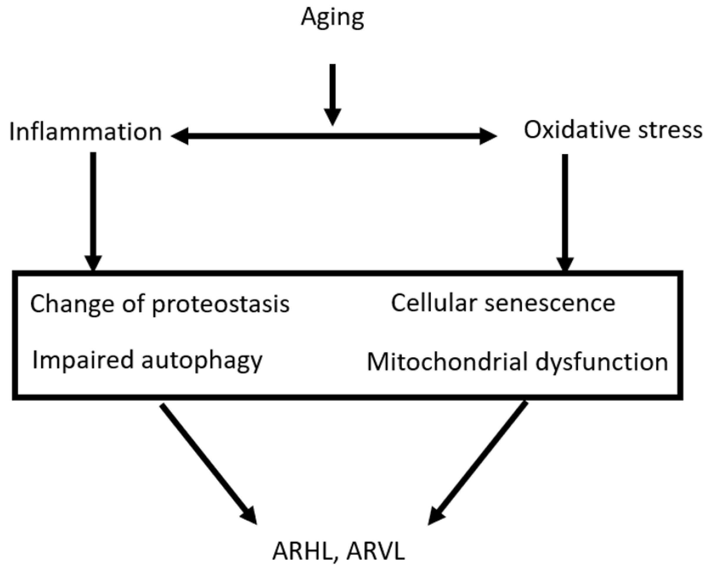 Nutrients 14 04720 g002 Nutrients 14 04720 g002