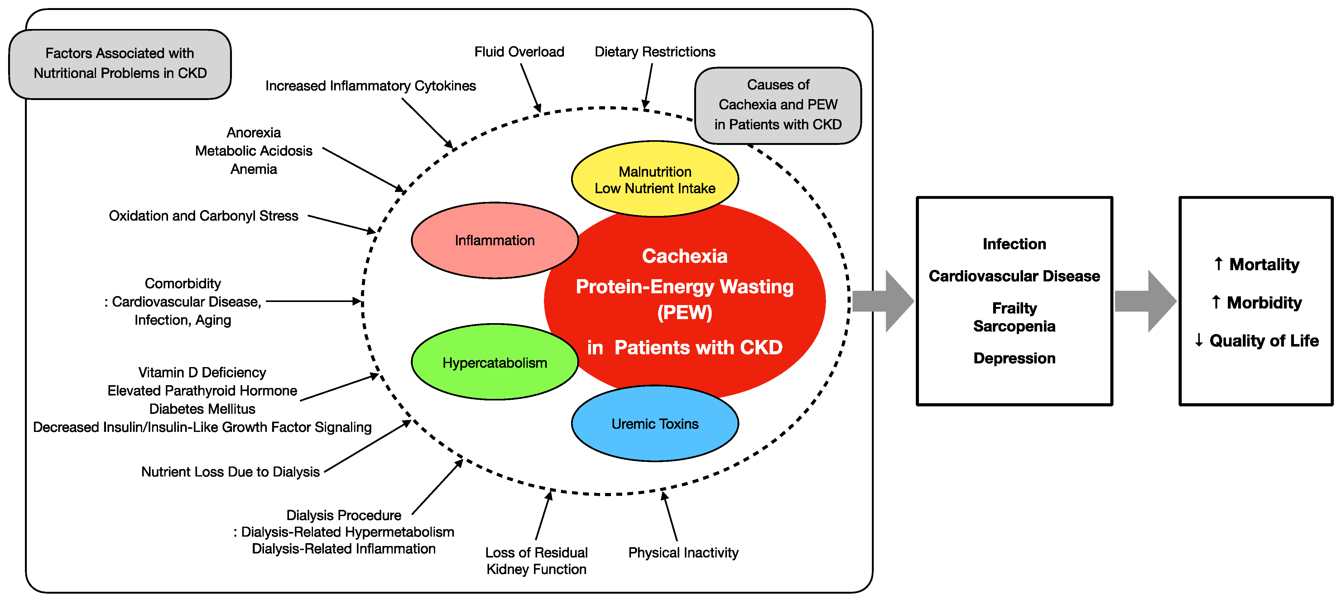 Nutrients Free Full Text Rehabilitation Nutrition In Patients With nutrients-free-full-text-rehabilitation-nutrition-in-patients-with