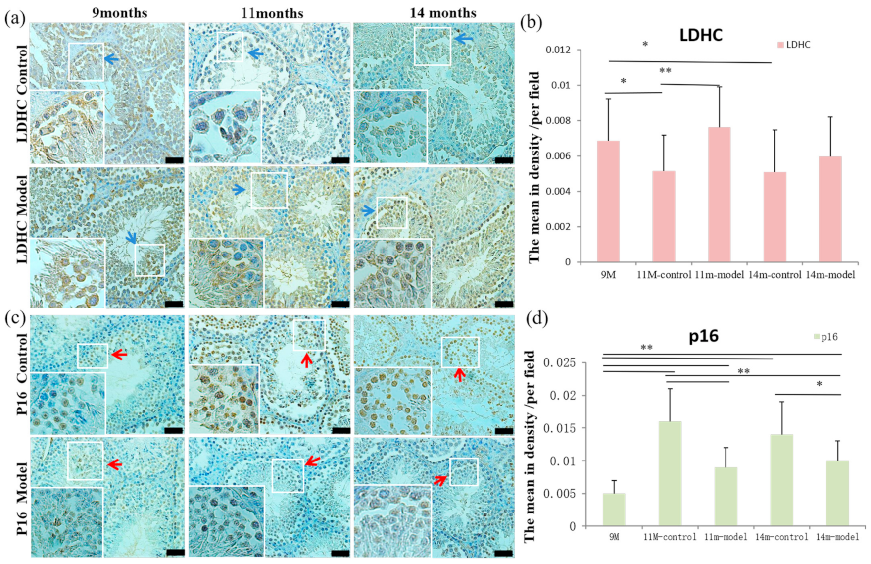 Nutrients 14 04733 g003