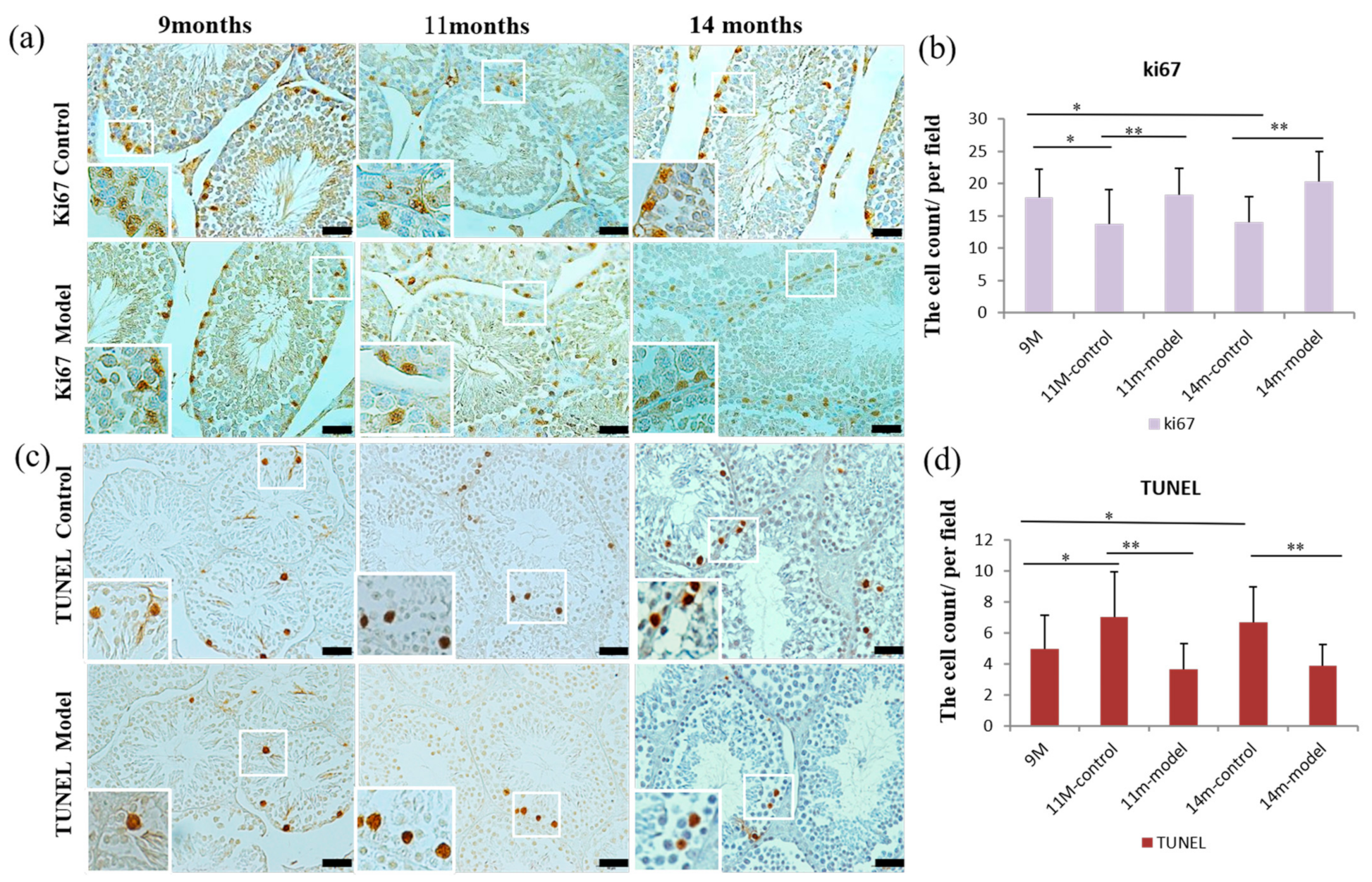 Nutrients 14 04733 g004