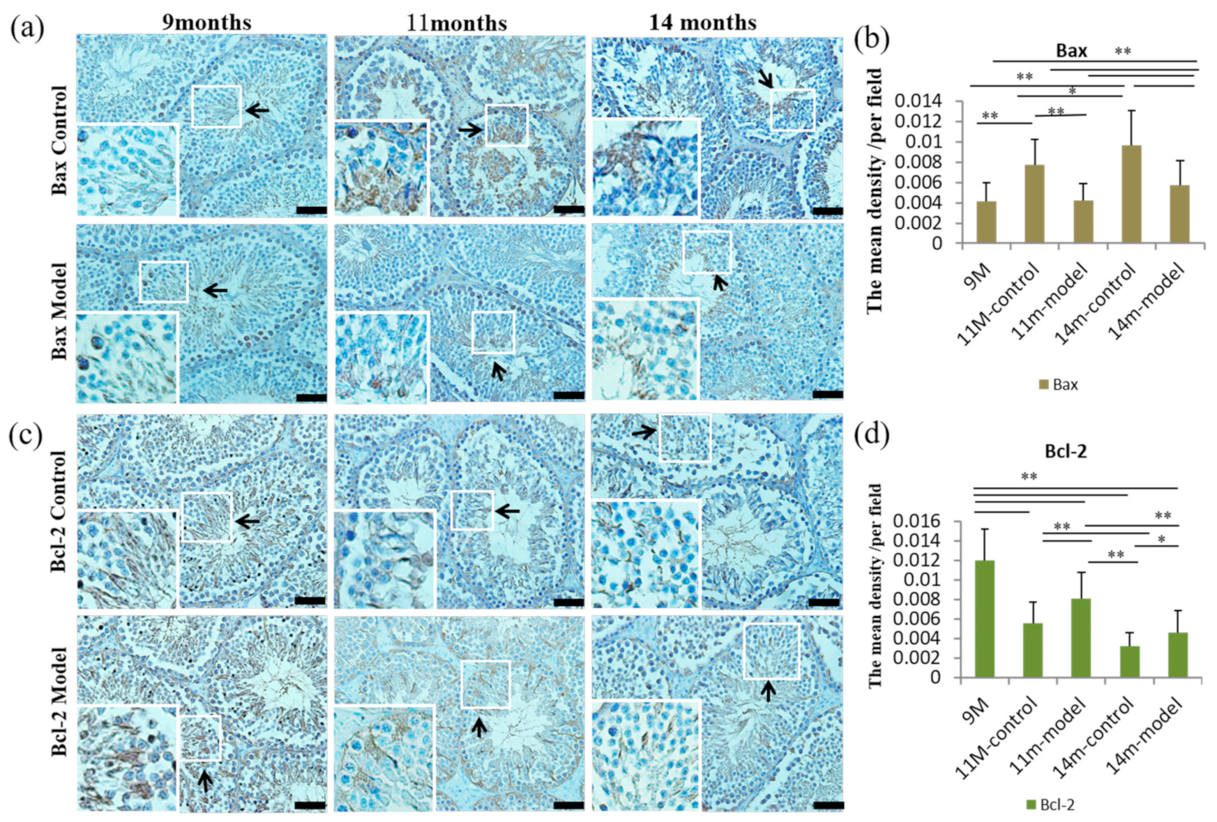 Nutrients 14 04733 g005