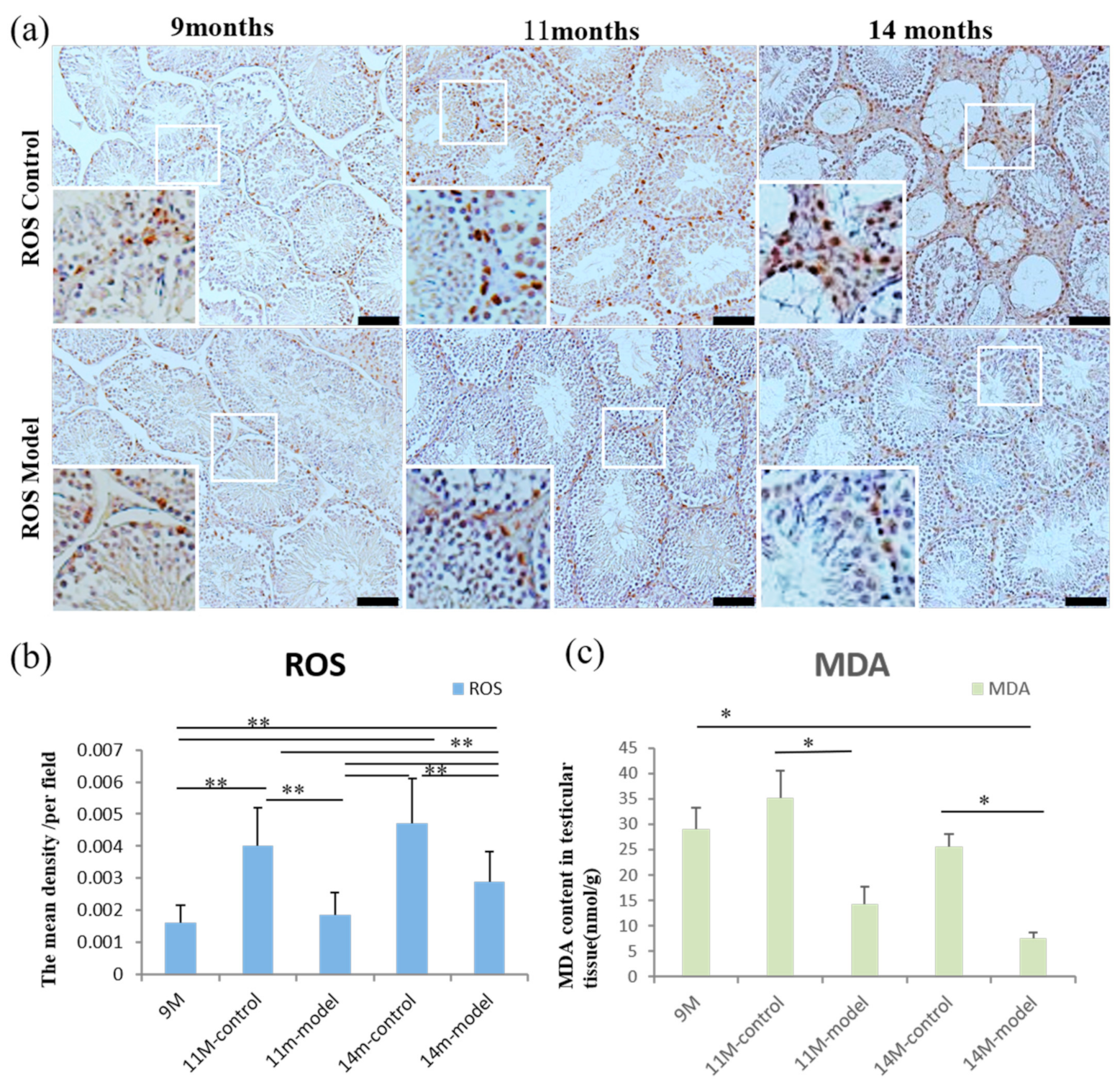 Nutrients 14 04733 g006