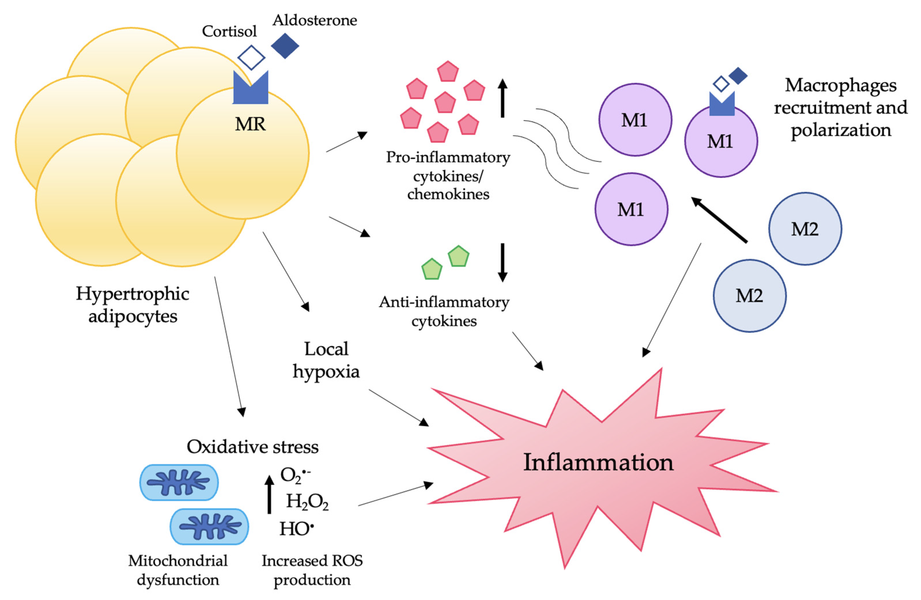 Nutrients 14 04735 g002 Nutrients 14 04735 g002