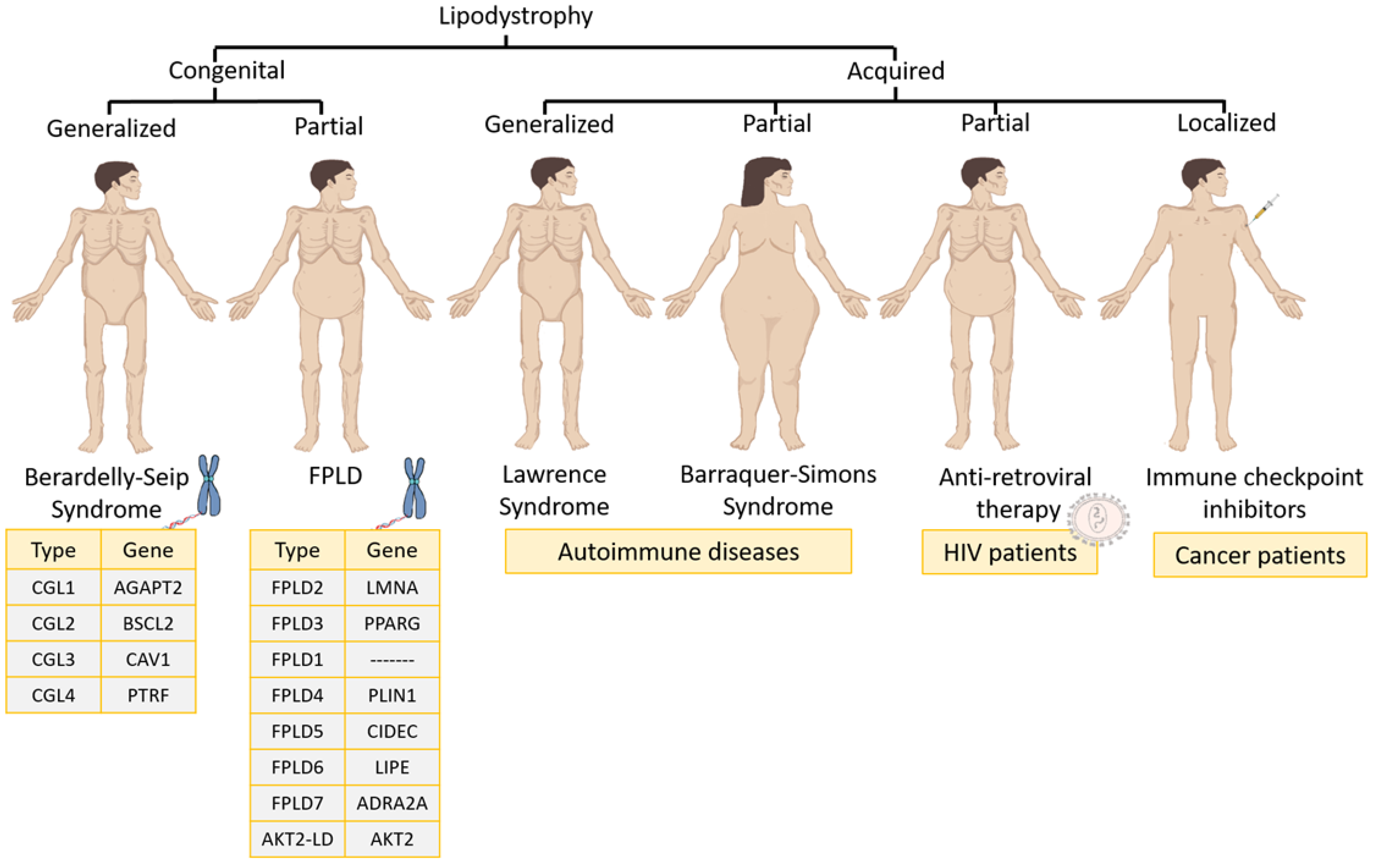 Nutrients 14 04742 g001 Nutrients 14 04742 g001