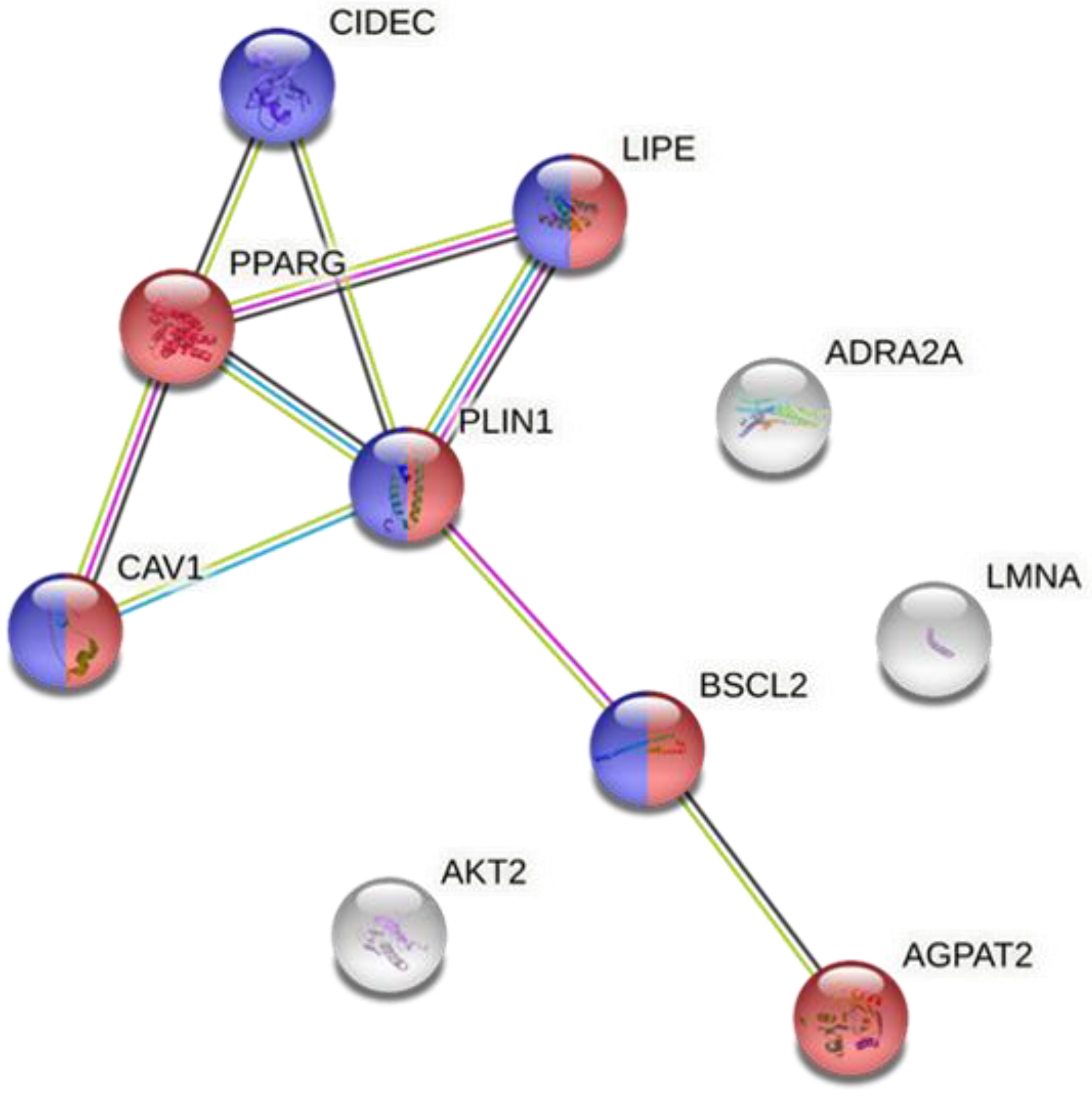 Nutrients 14 04742 g002 Nutrients 14 04742 g002