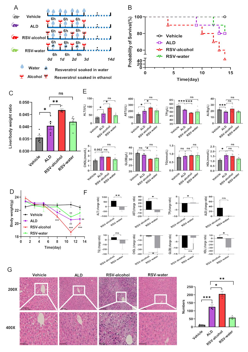 Nutrients 14 04752 g001 Nutrients 14 04752 g001