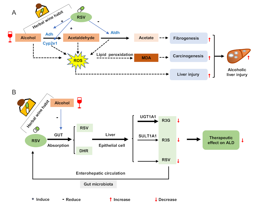 Nutrients 14 04752 g005 Nutrients 14 04752 g005