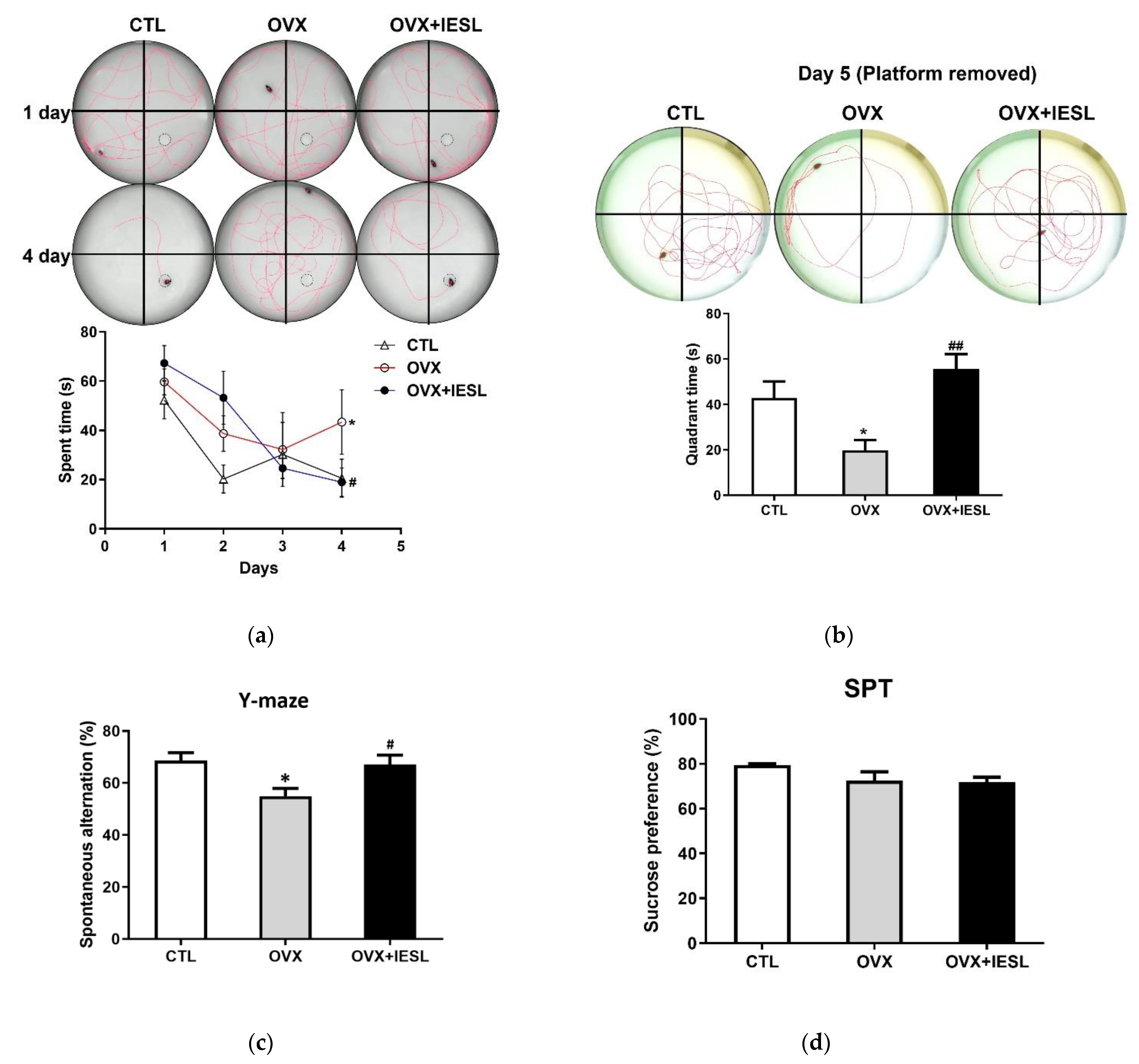 Nutrients 14 04753 g003 Nutrients 14 04753 g003