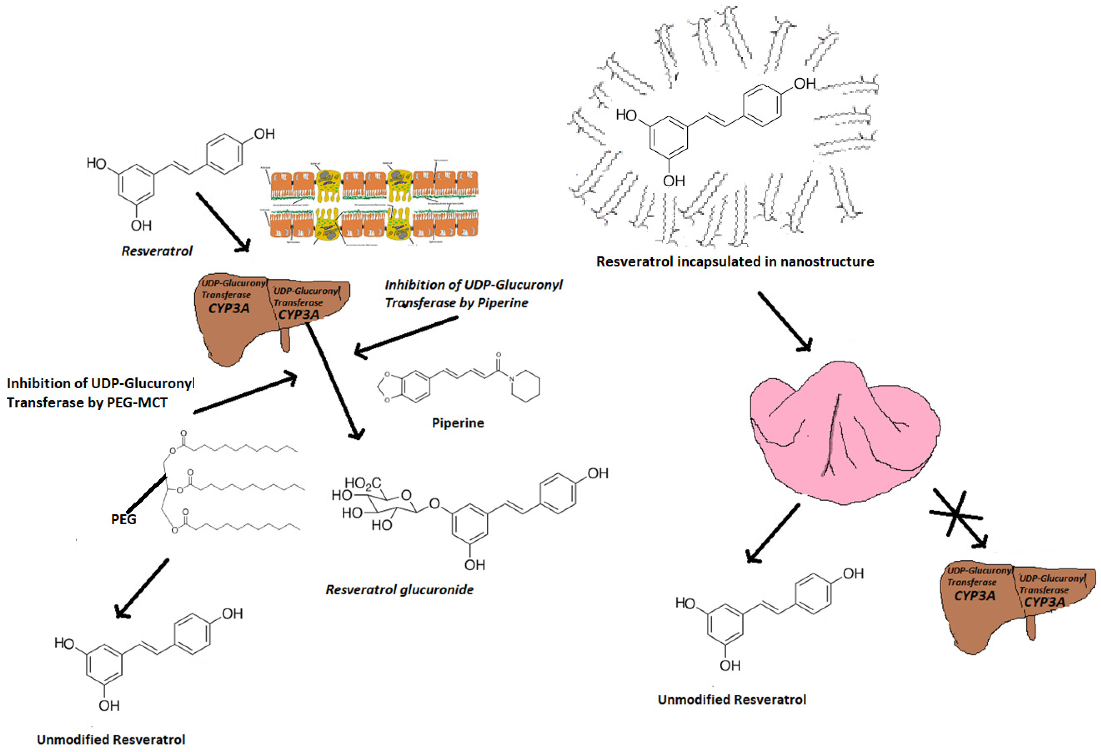 Nutrients 14 04769 g002 Nutrients 14 04769 g002