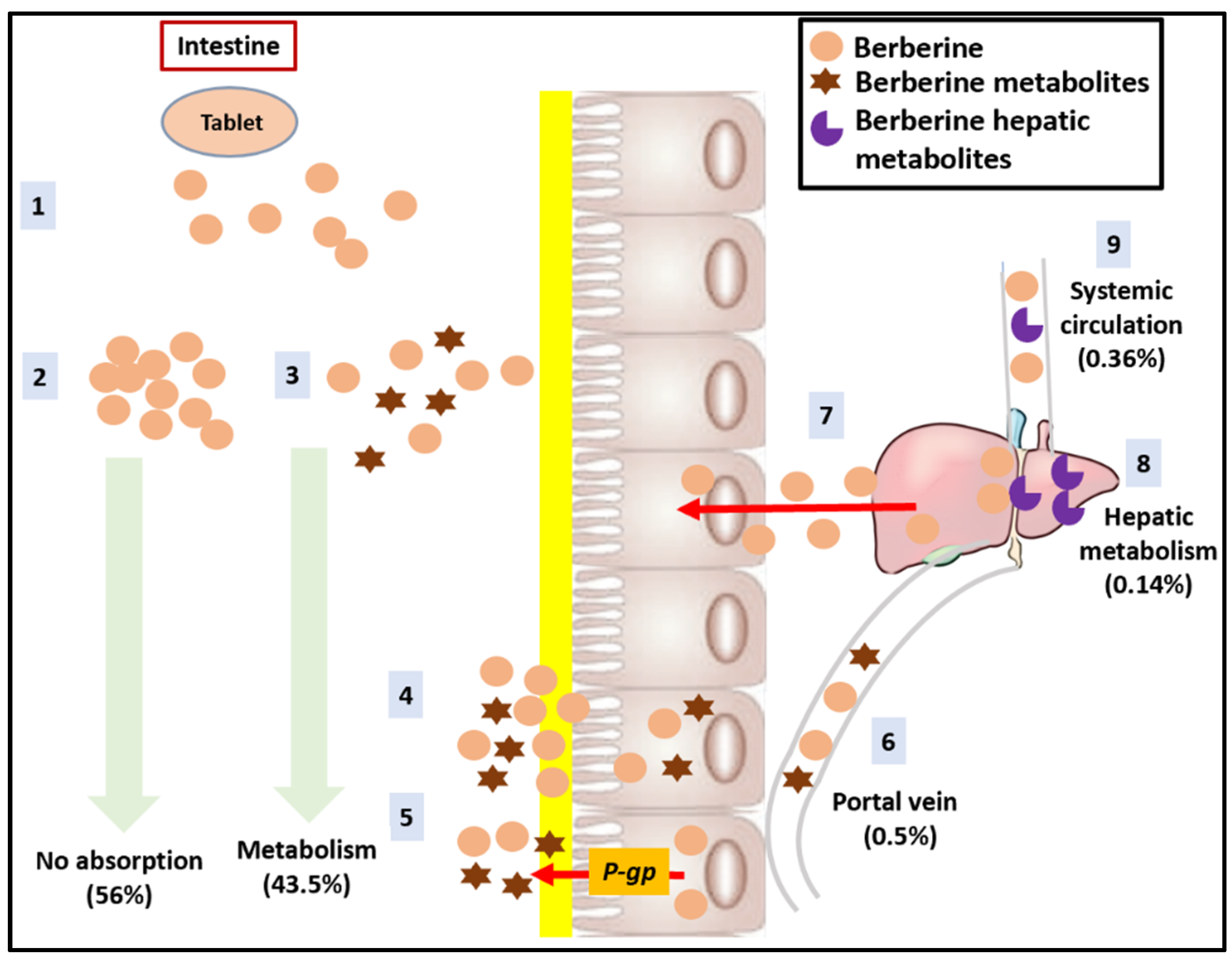 Nutrients 14 04769 g004 Nutrients 14 04769 g004