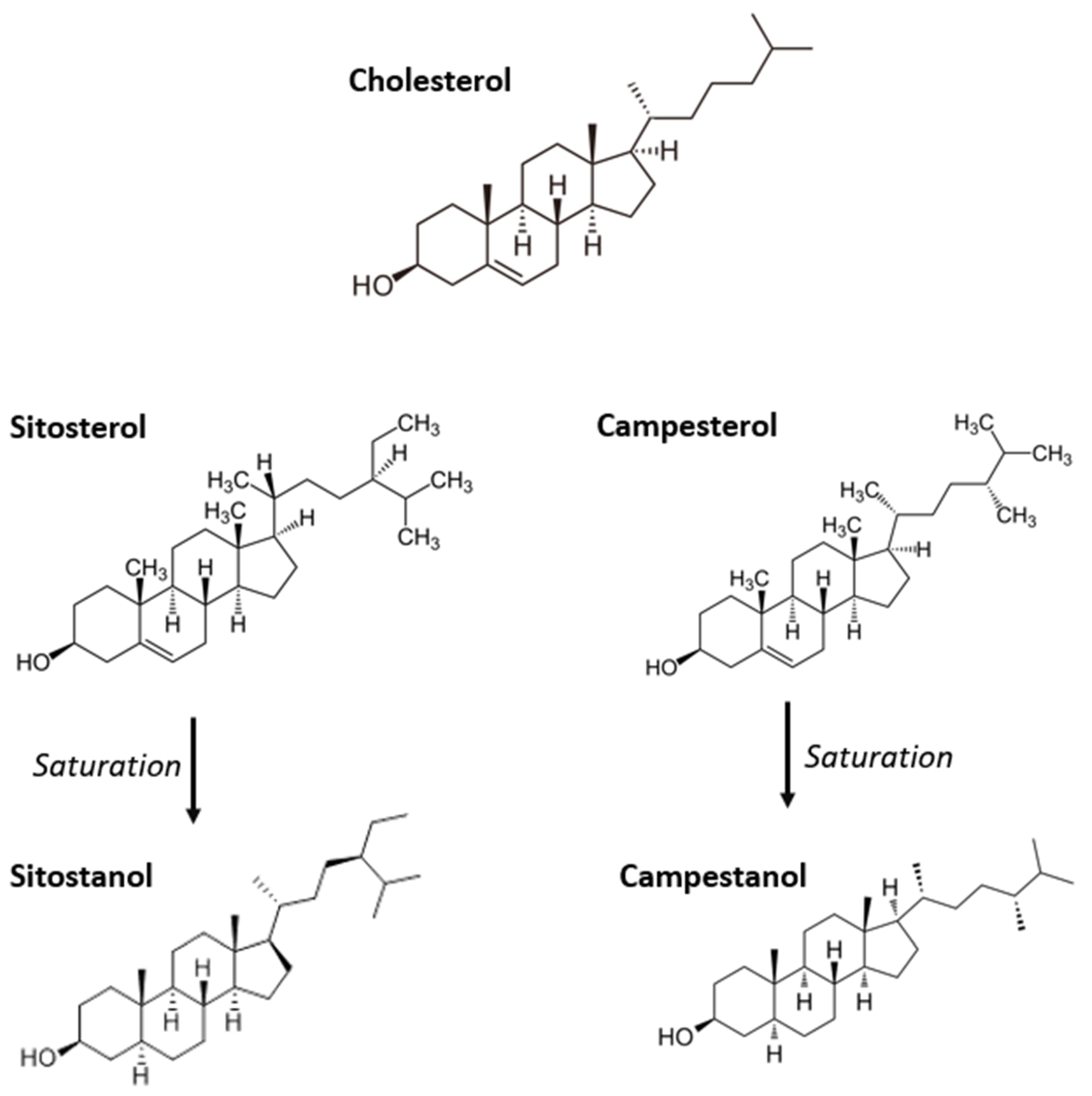 Nutrients 14 04769 g006 Nutrients 14 04769 g006