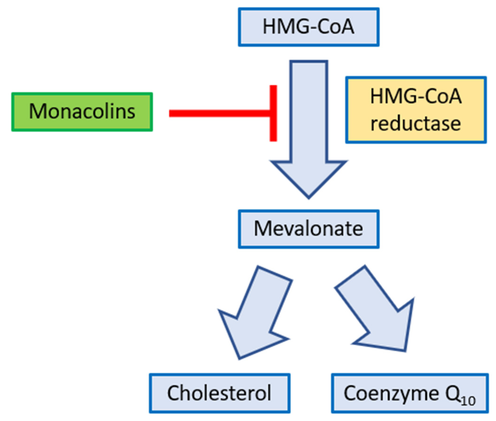 Nutrients 14 04769 g009 Nutrients 14 04769 g009