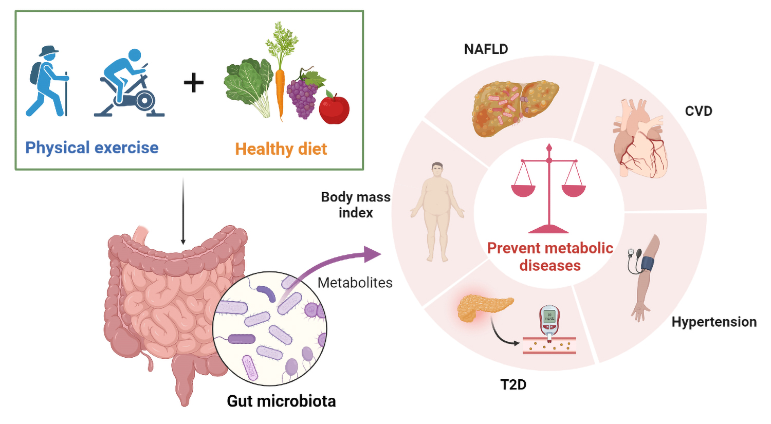 Nutrients free full text combined physical exercise and diet