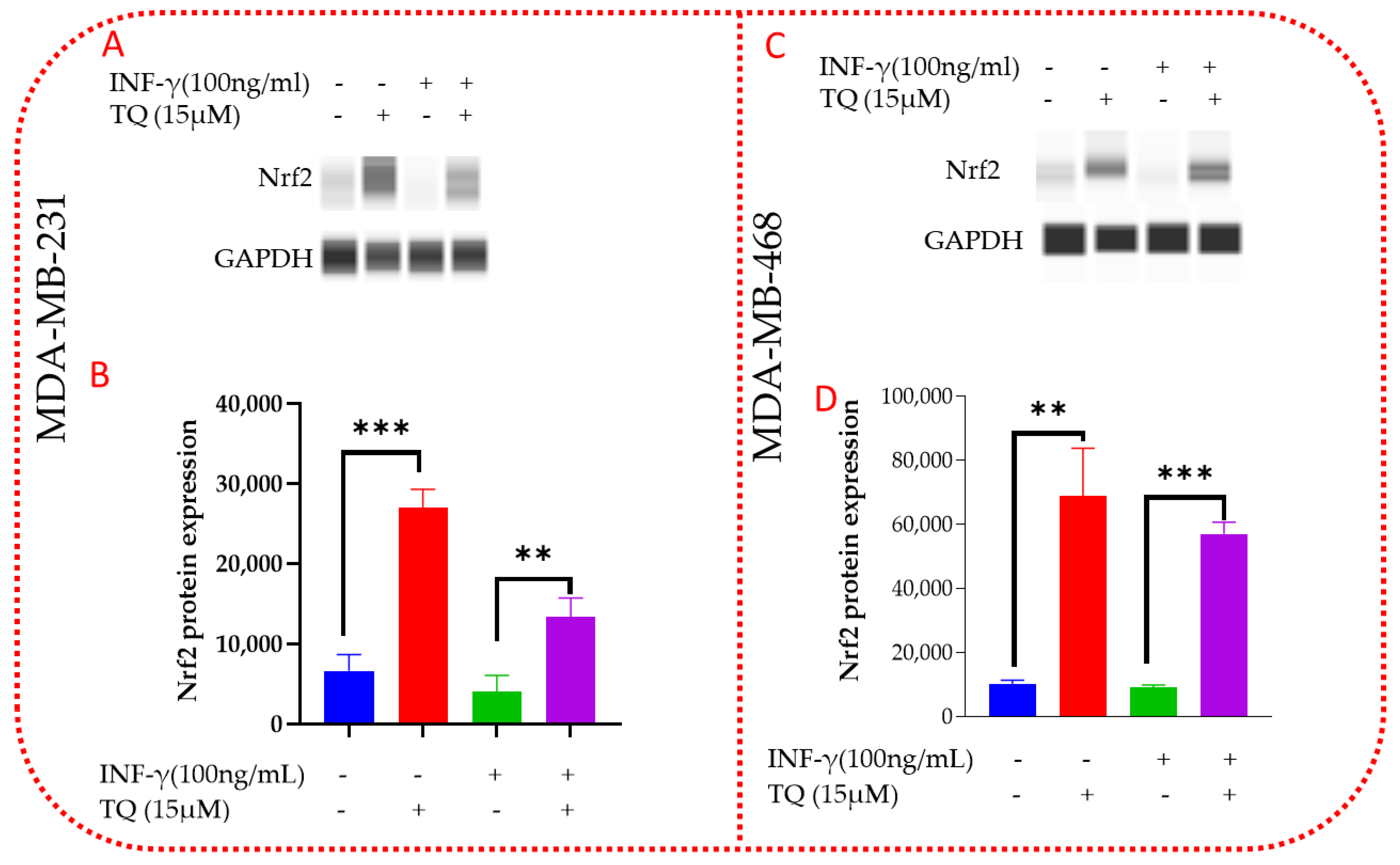 Nutrients 14 04787 g011 Nutrients 14 04787 g011