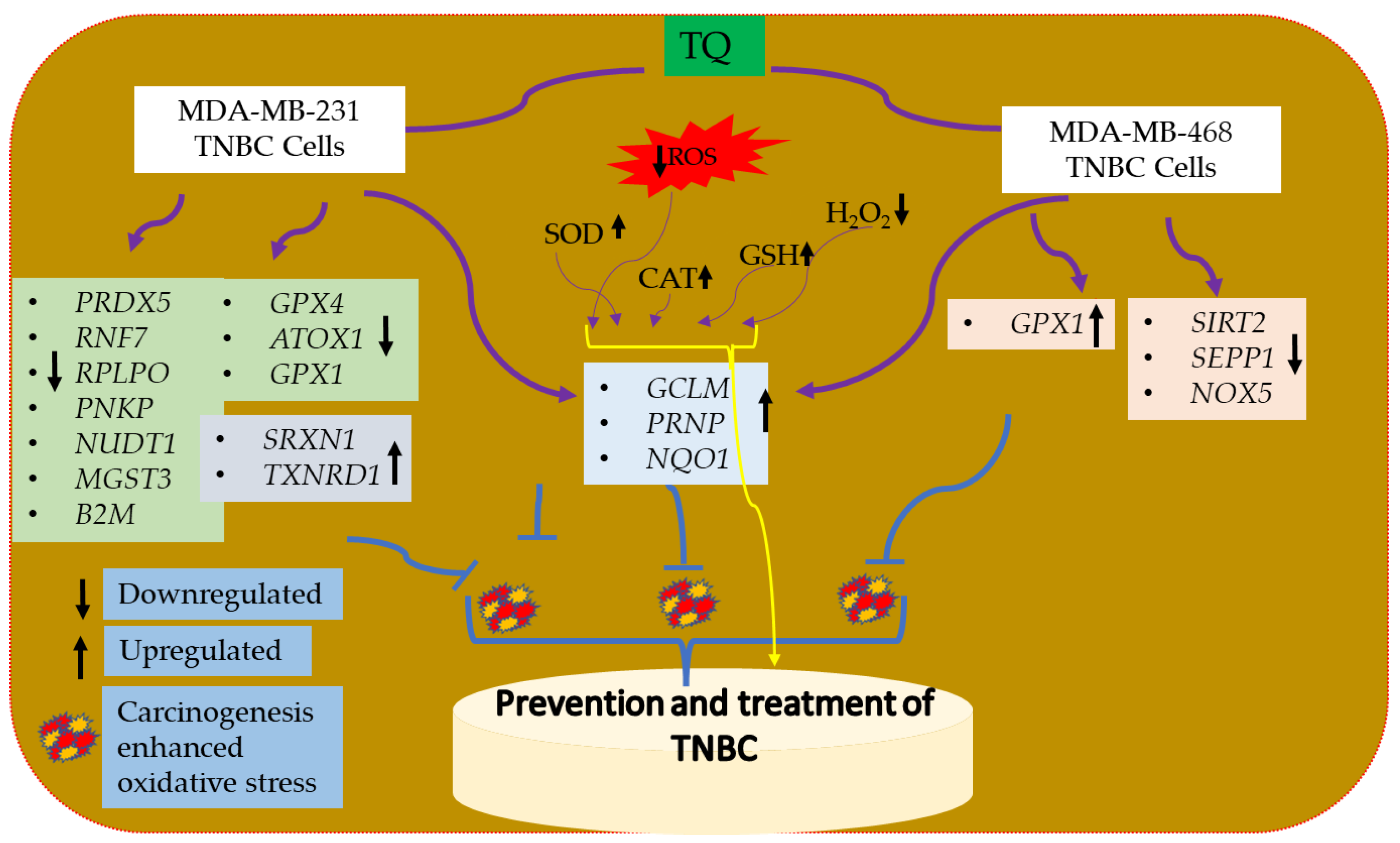 Nutrients 14 04787 g013 Nutrients 14 04787 g013
