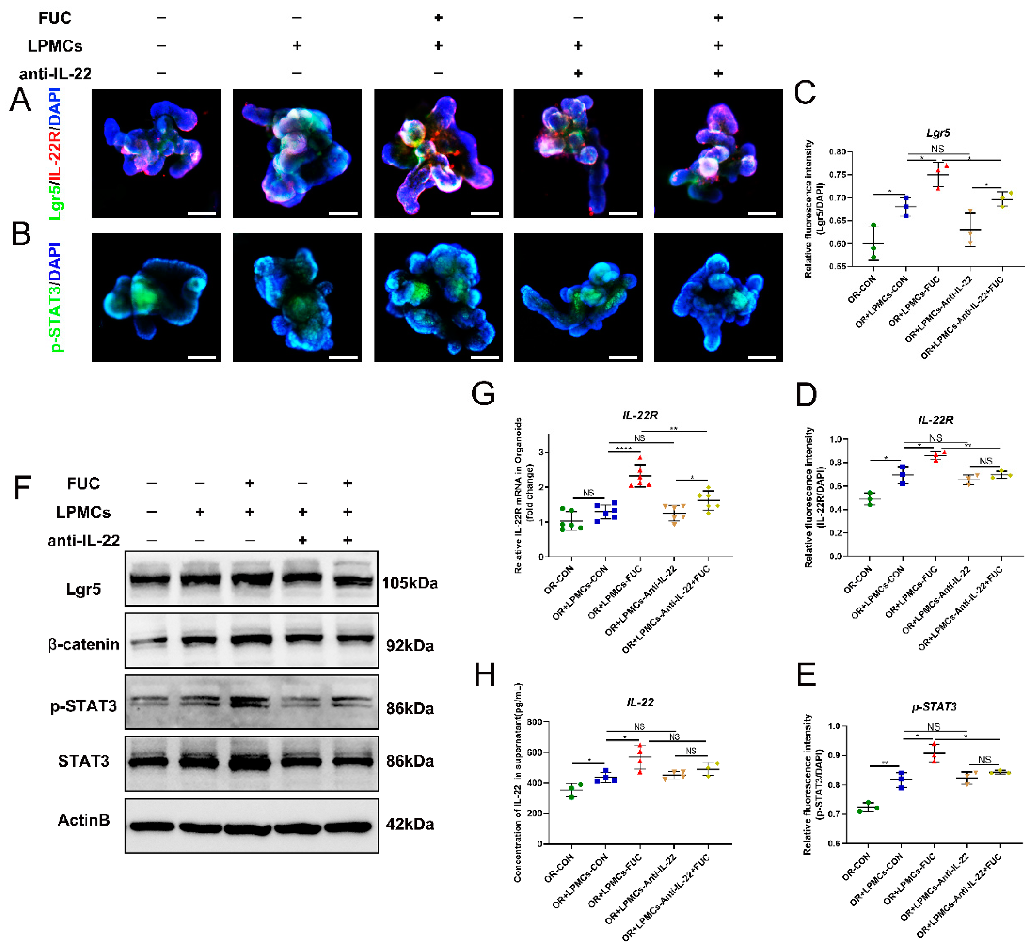 Nutrients 14 04789 g007