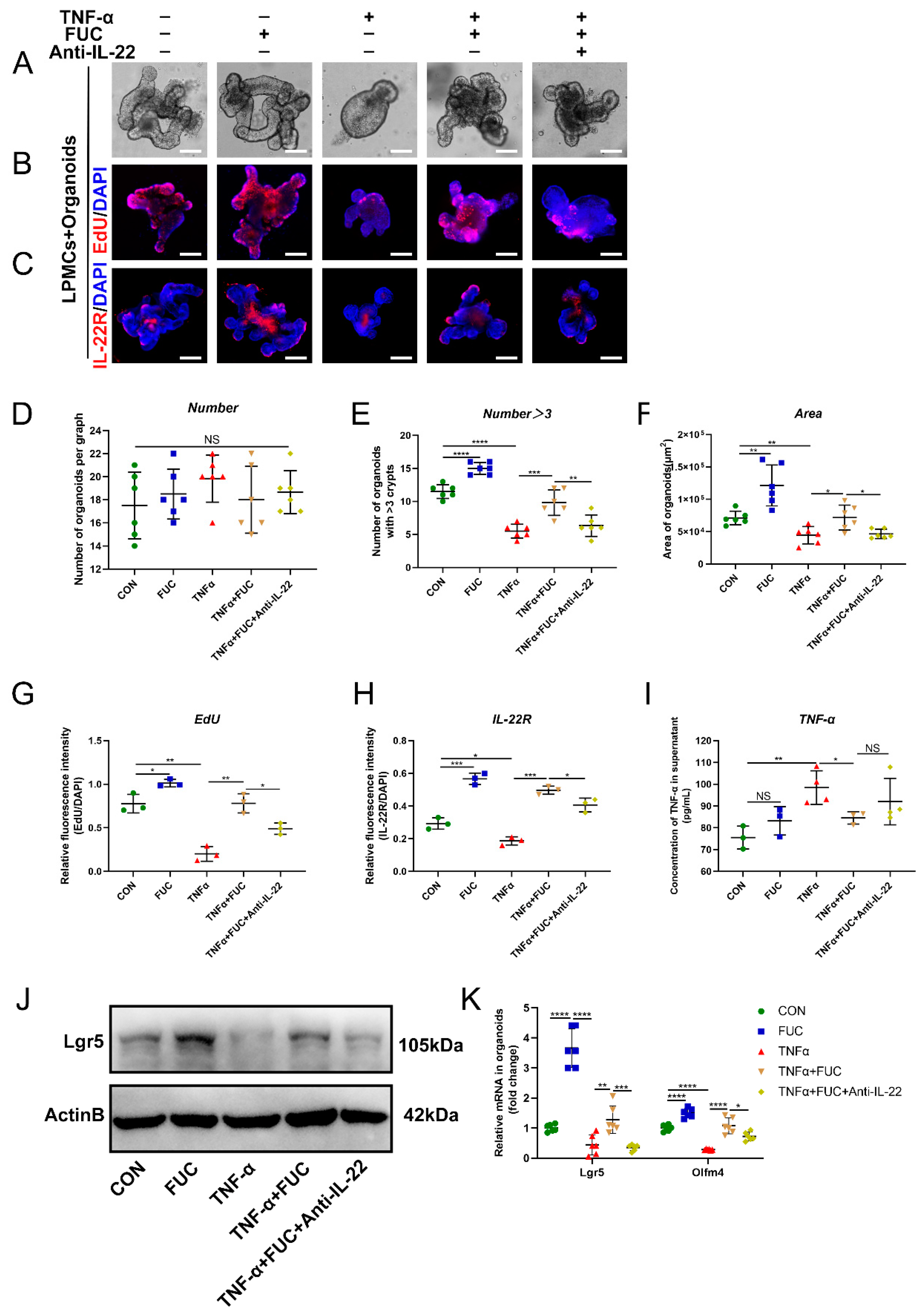 Nutrients 14 04789 g008