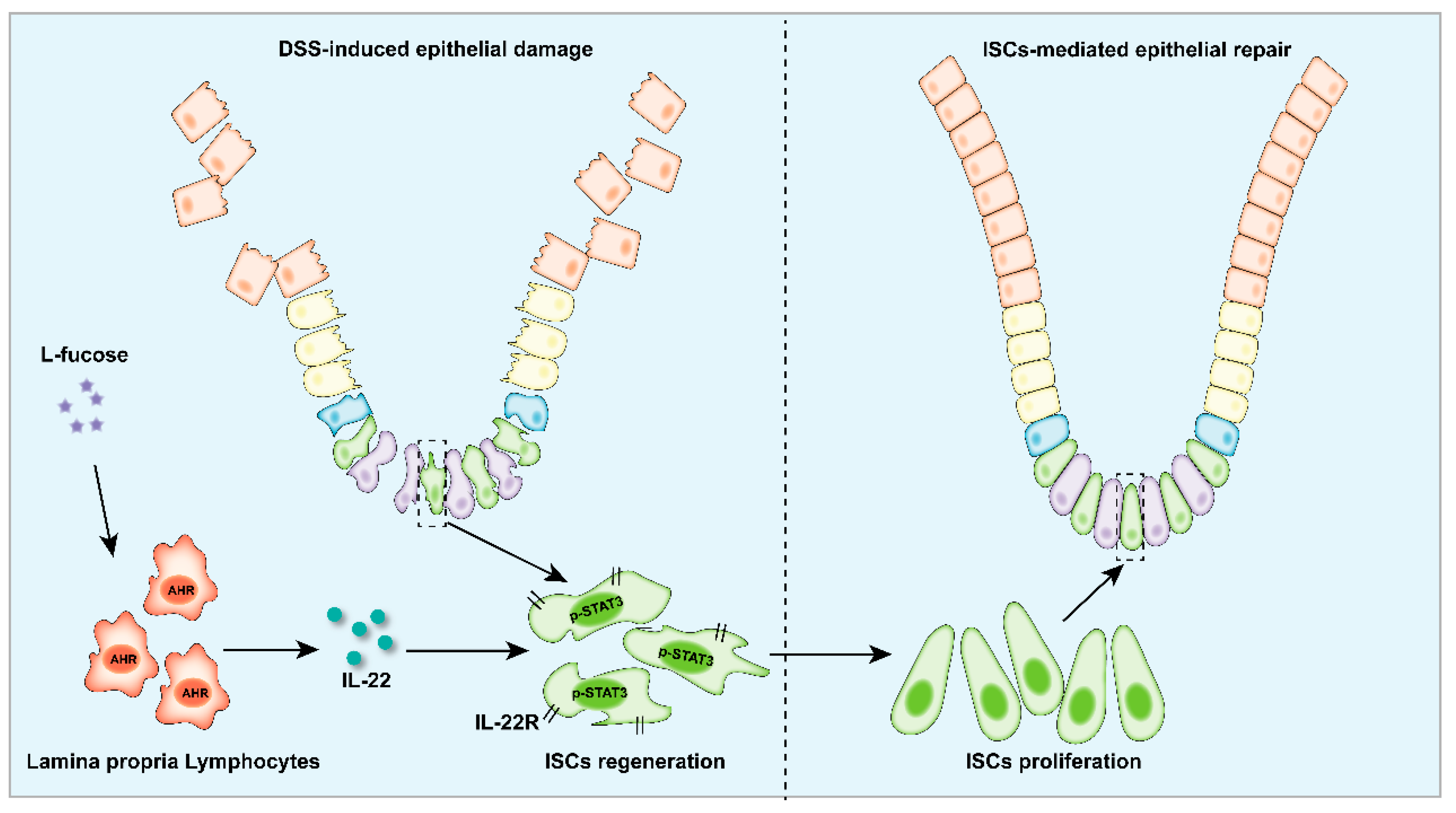Nutrients 14 04789 g009