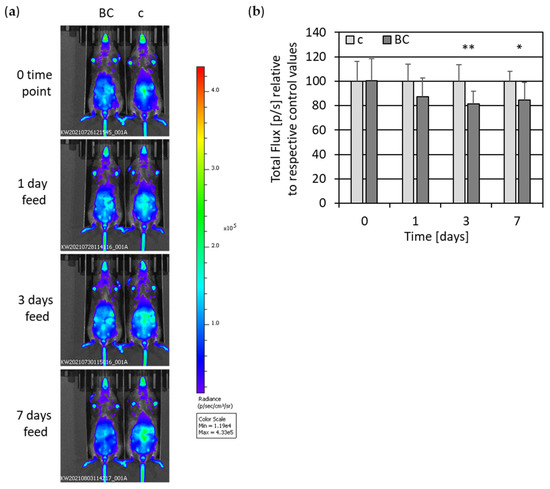 Rye Bread Crust as an Inducer of Antioxidant Genes and Suppressor