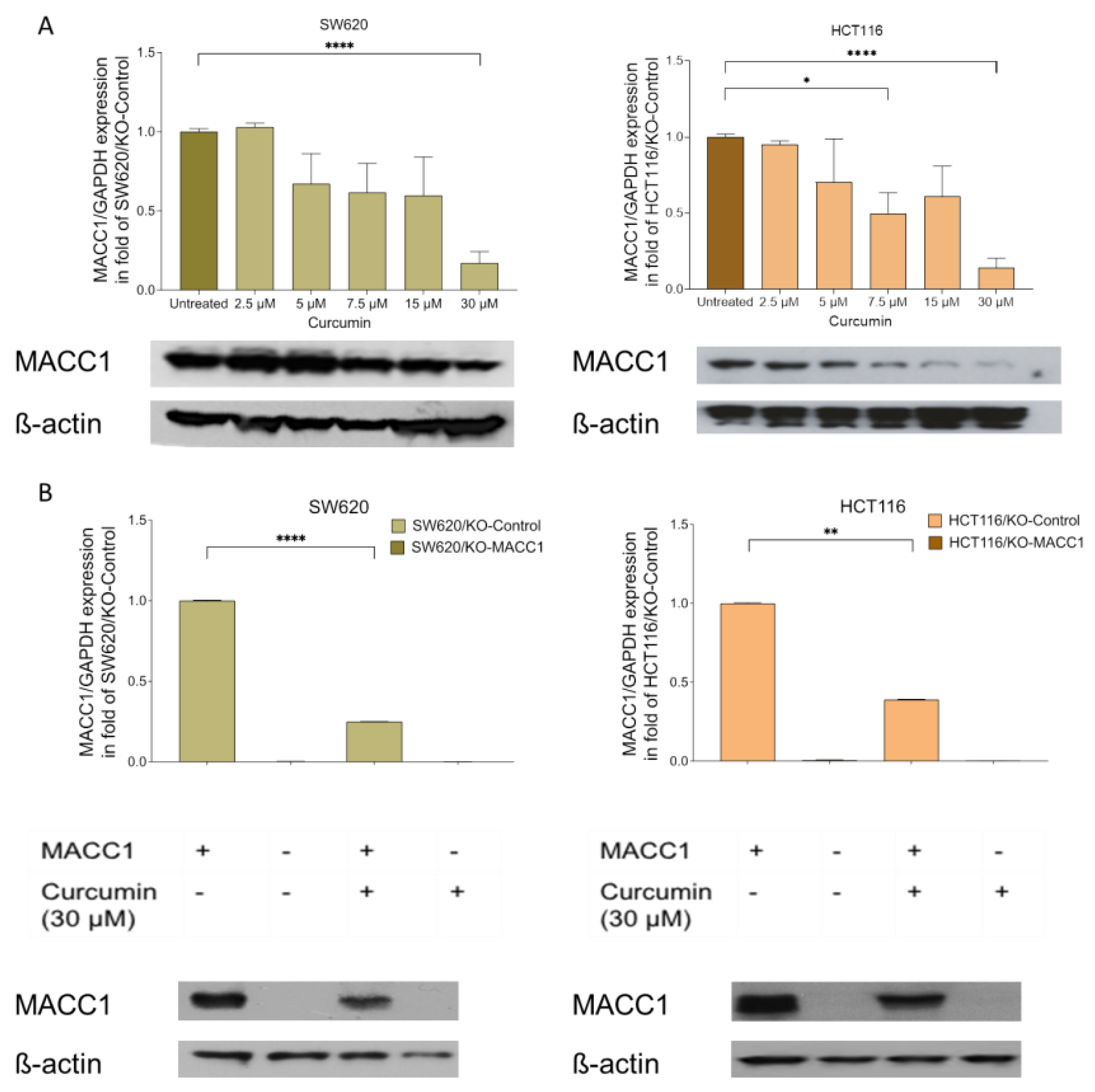 Nutrients 14 04792 g001