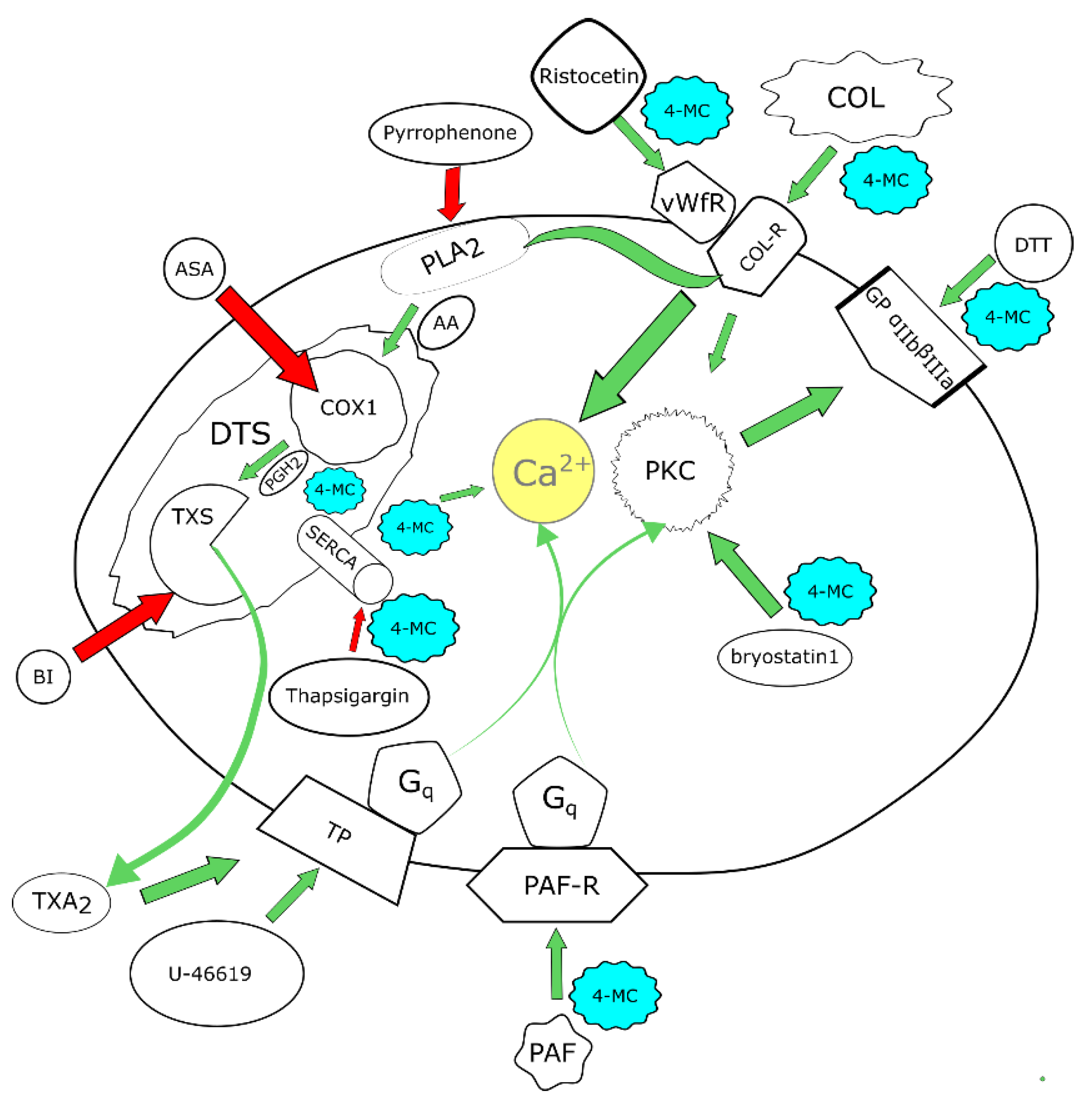 Nutrients 14 04798 g007 Nutrients 14 04798 g007