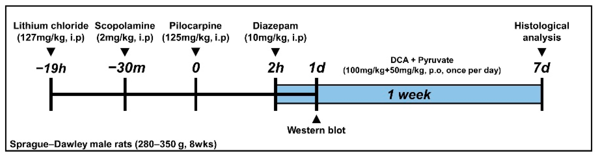 Nutrients 14 04804 g001 Nutrients 14 04804 g001