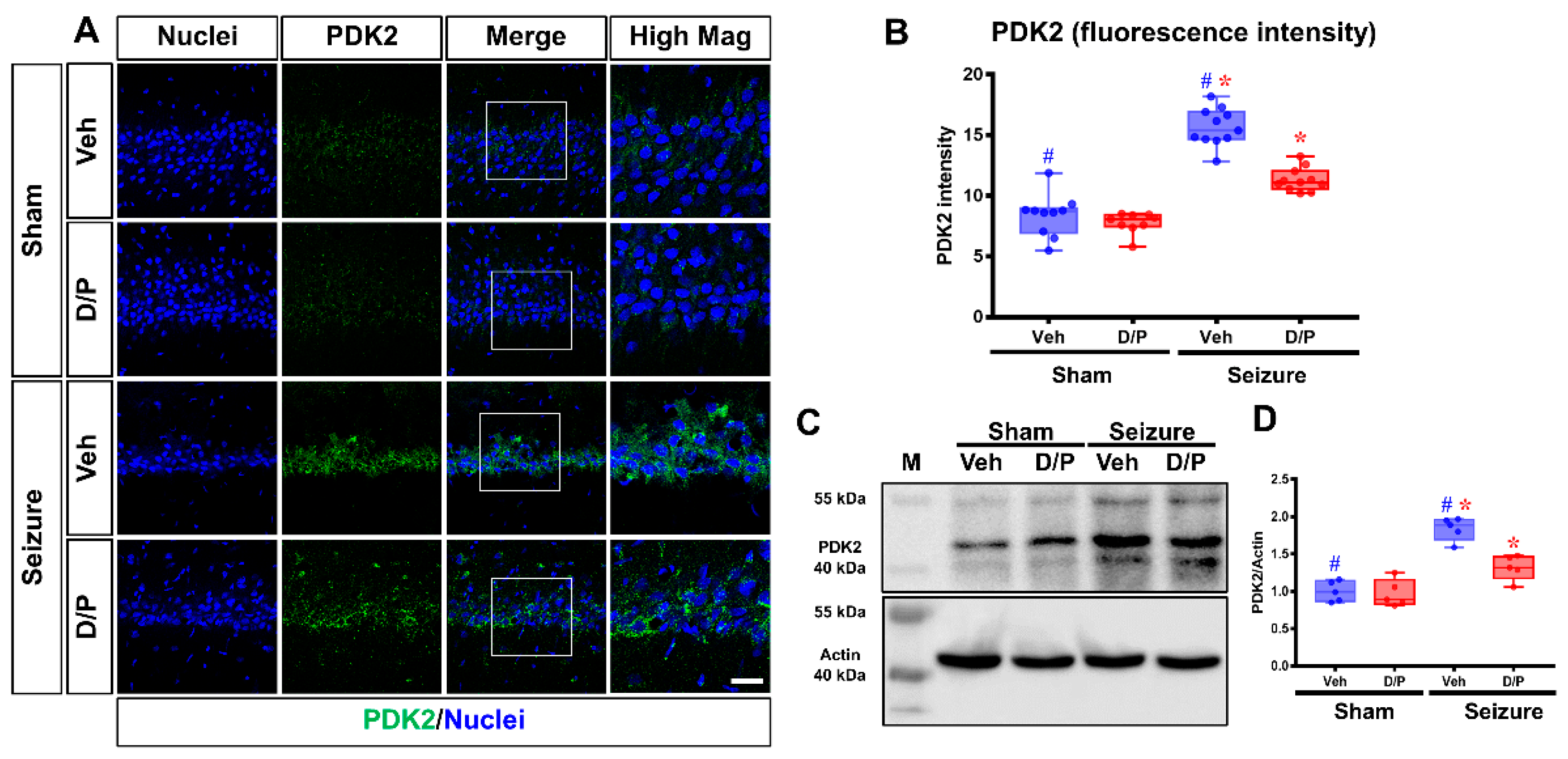 Nutrients 14 04804 g002 Nutrients 14 04804 g002