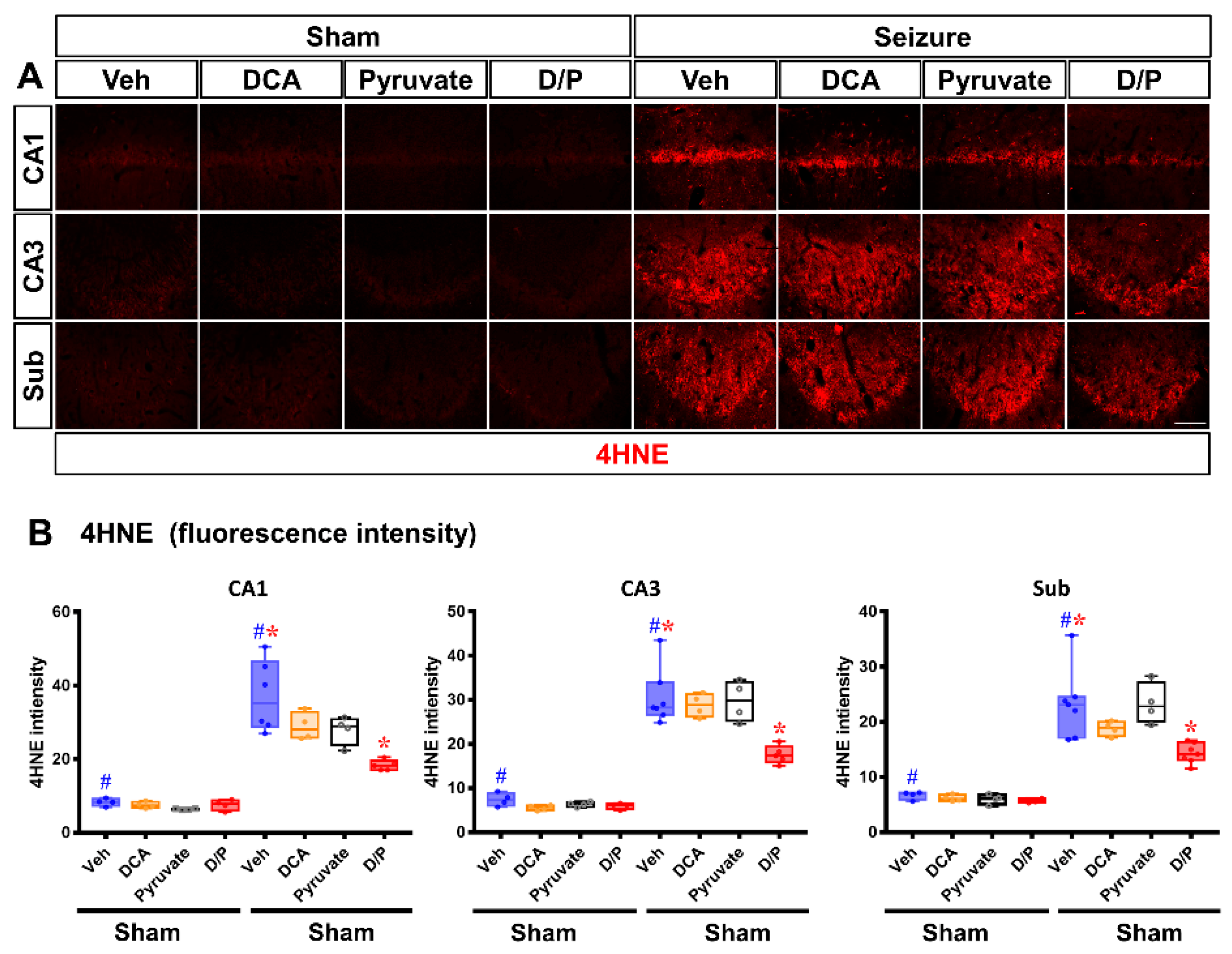 Nutrients 14 04804 g004 Nutrients 14 04804 g004