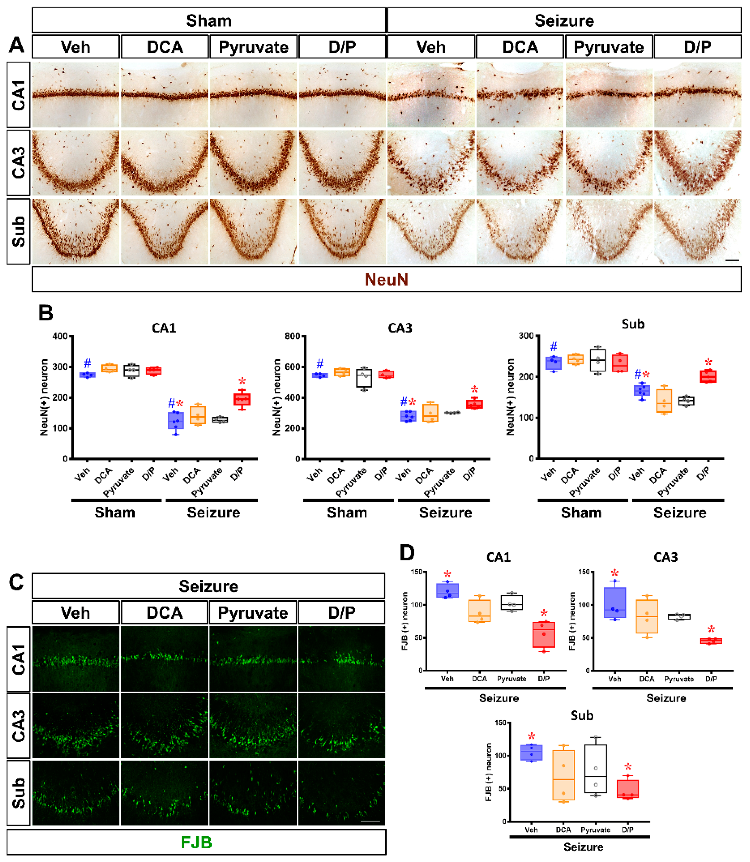 Nutrients 14 04804 g006 Nutrients 14 04804 g006