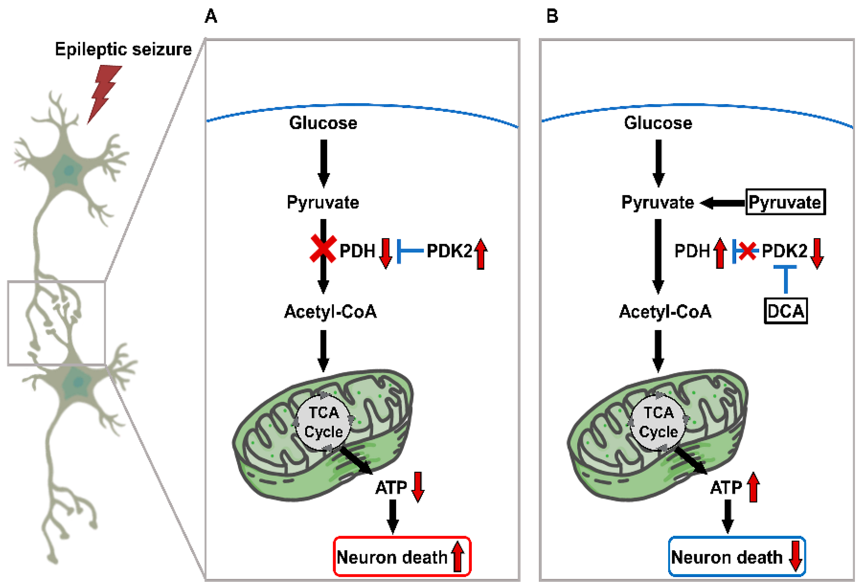 Nutrients 14 04804 g008 Nutrients 14 04804 g008