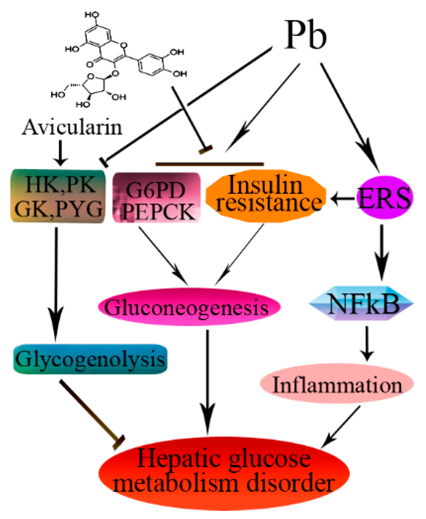 Nutrients 14 04806 g005 Nutrients 14 04806 g005