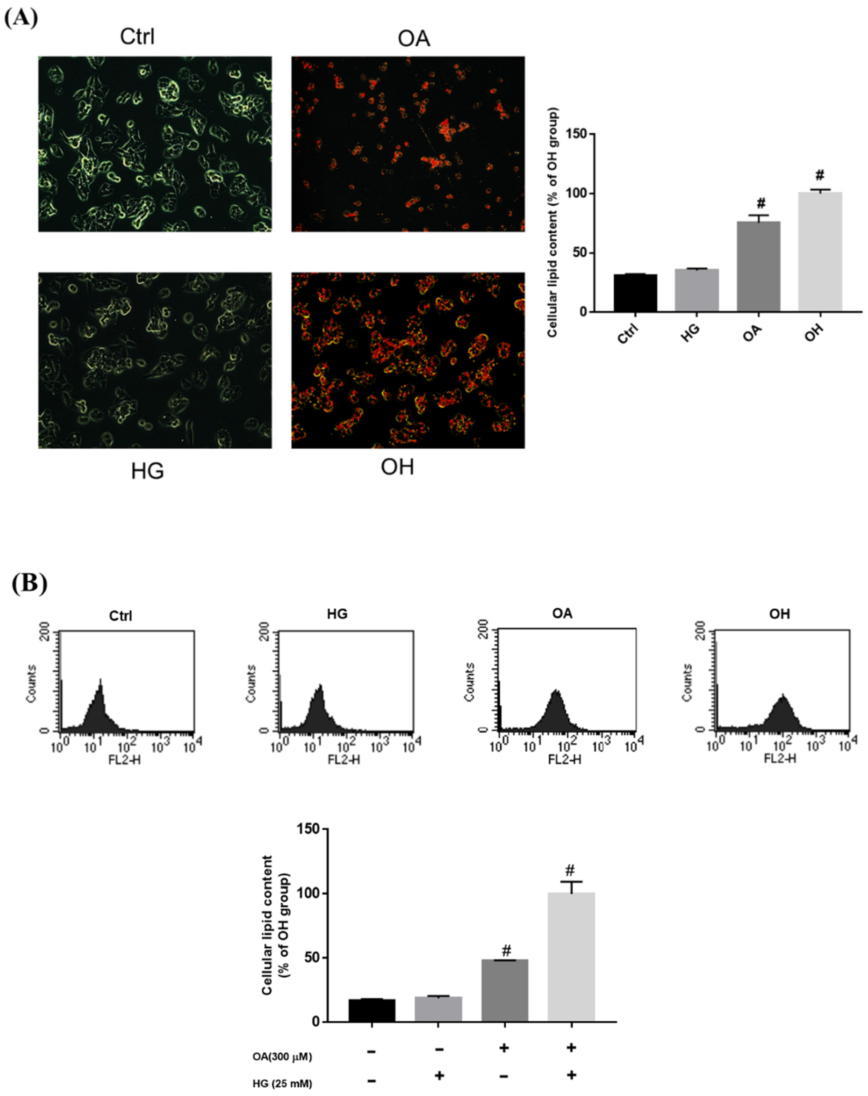Nutrients 14 04808 g002