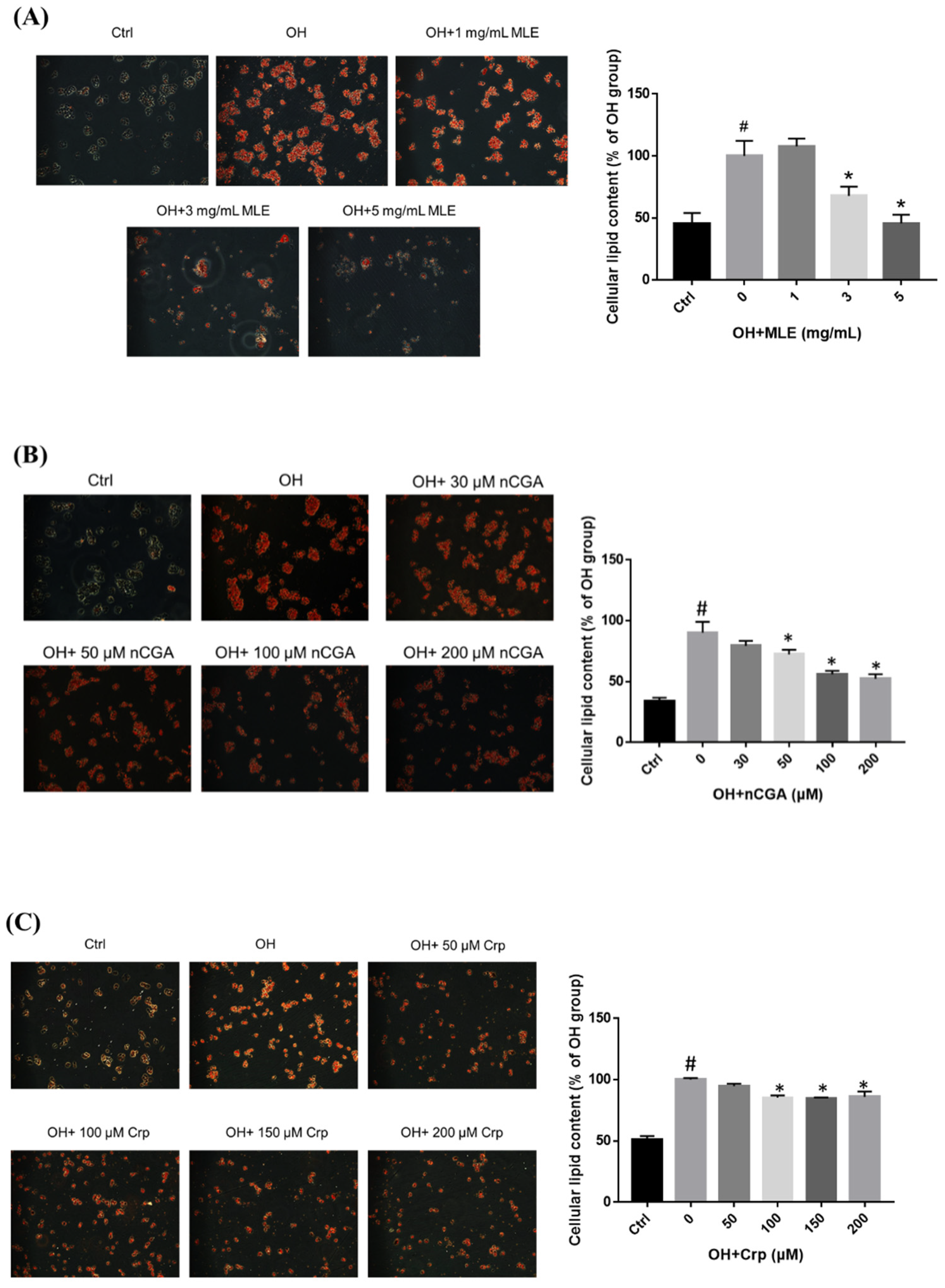 Nutrients 14 04808 g003a