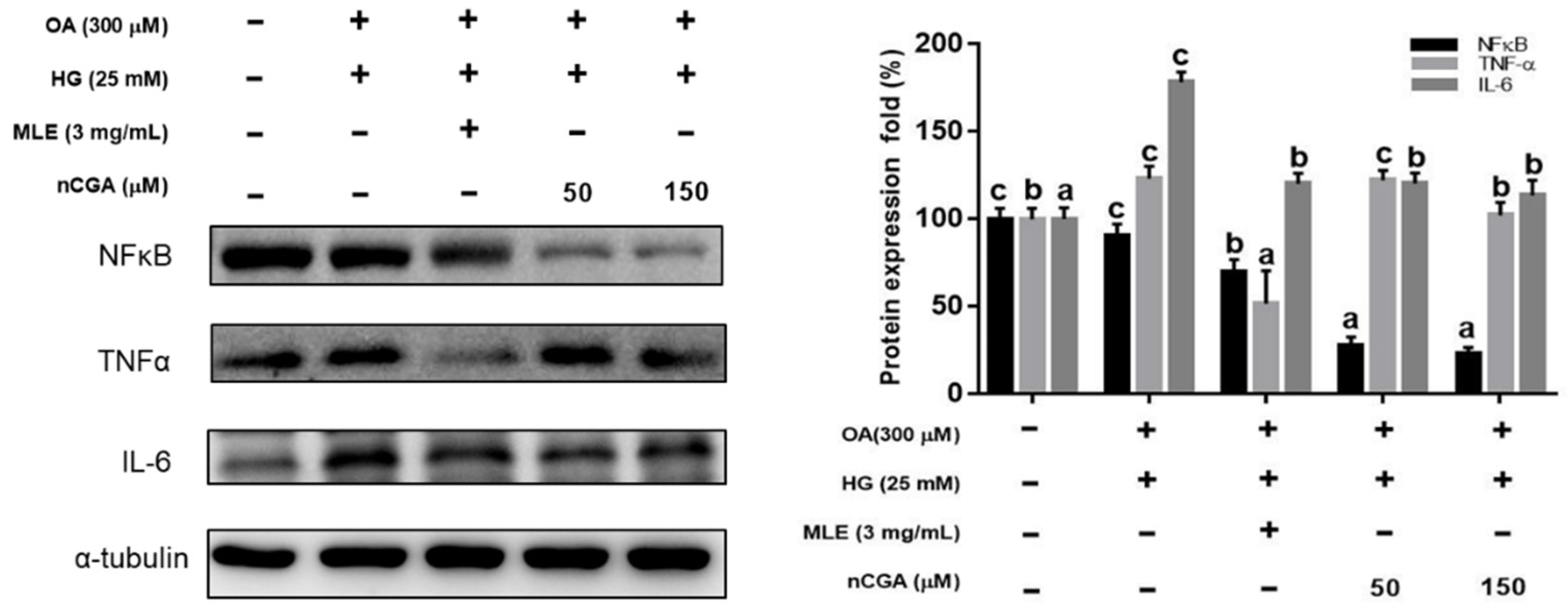 Nutrients 14 04808 g005
