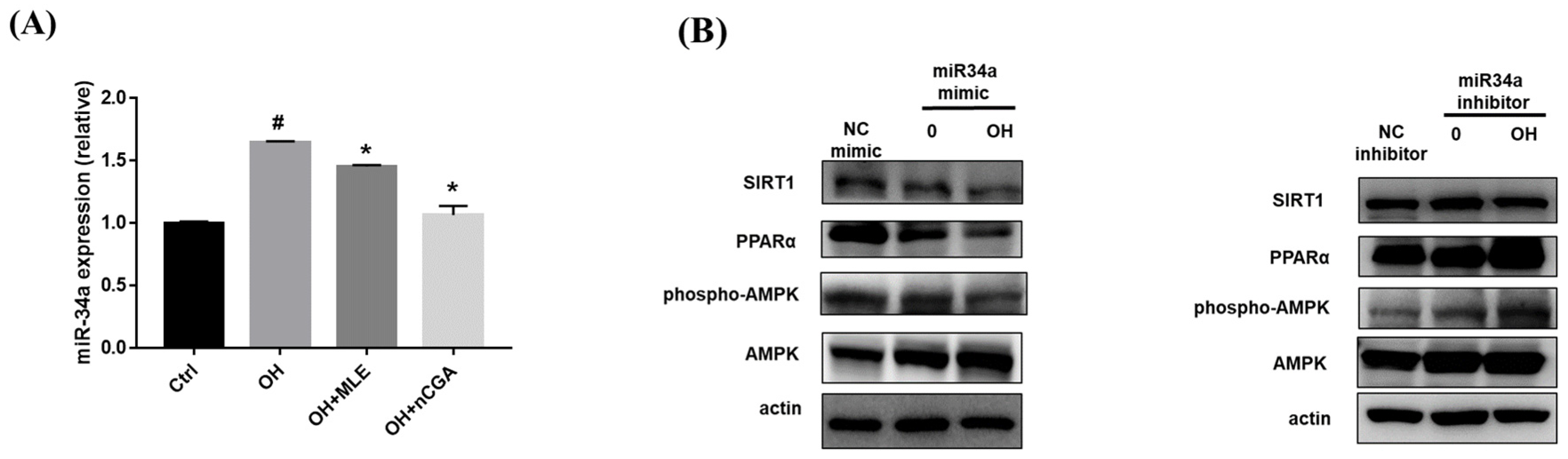 Nutrients 14 04808 g006