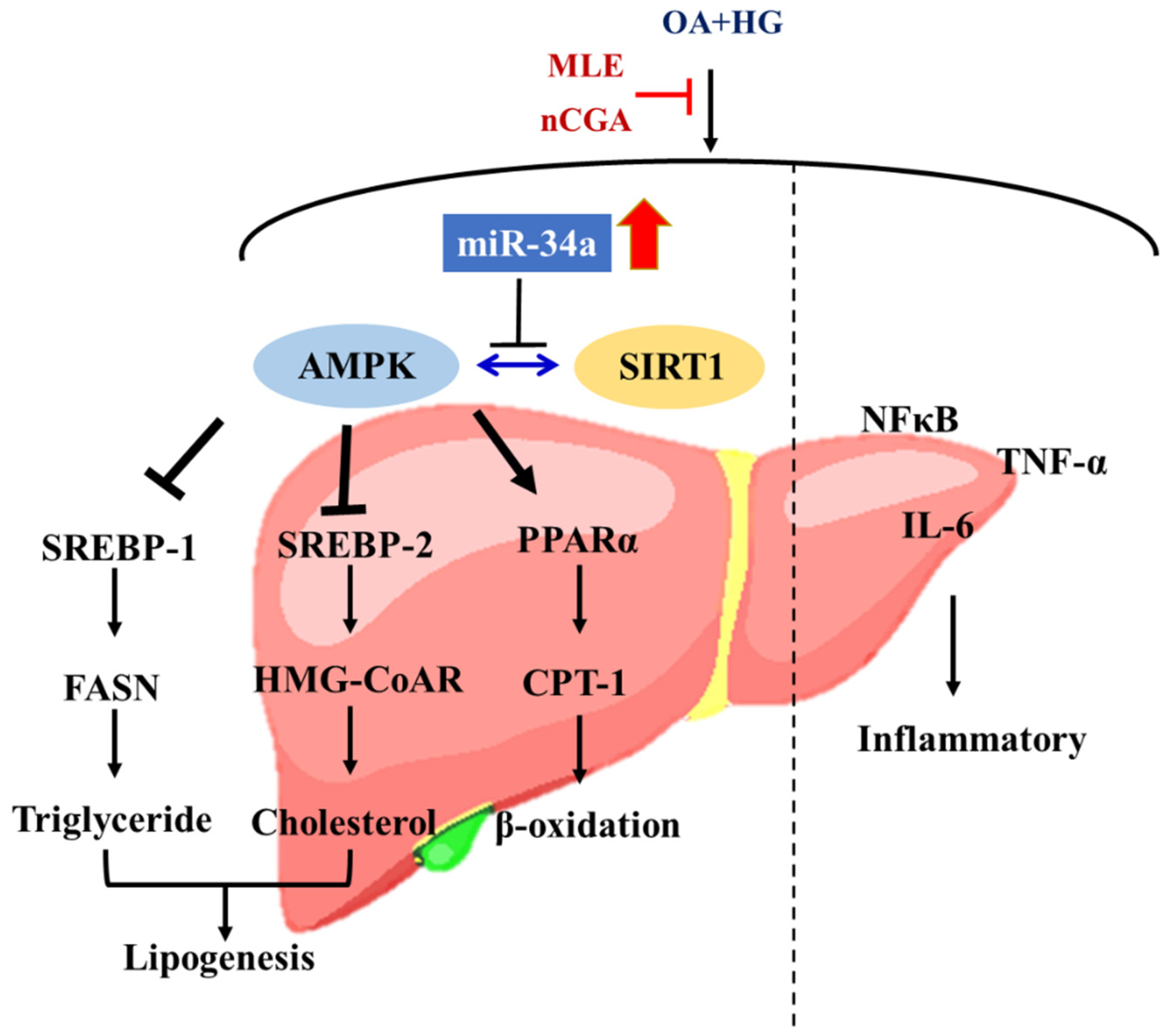 Nutrients 14 04808 g007