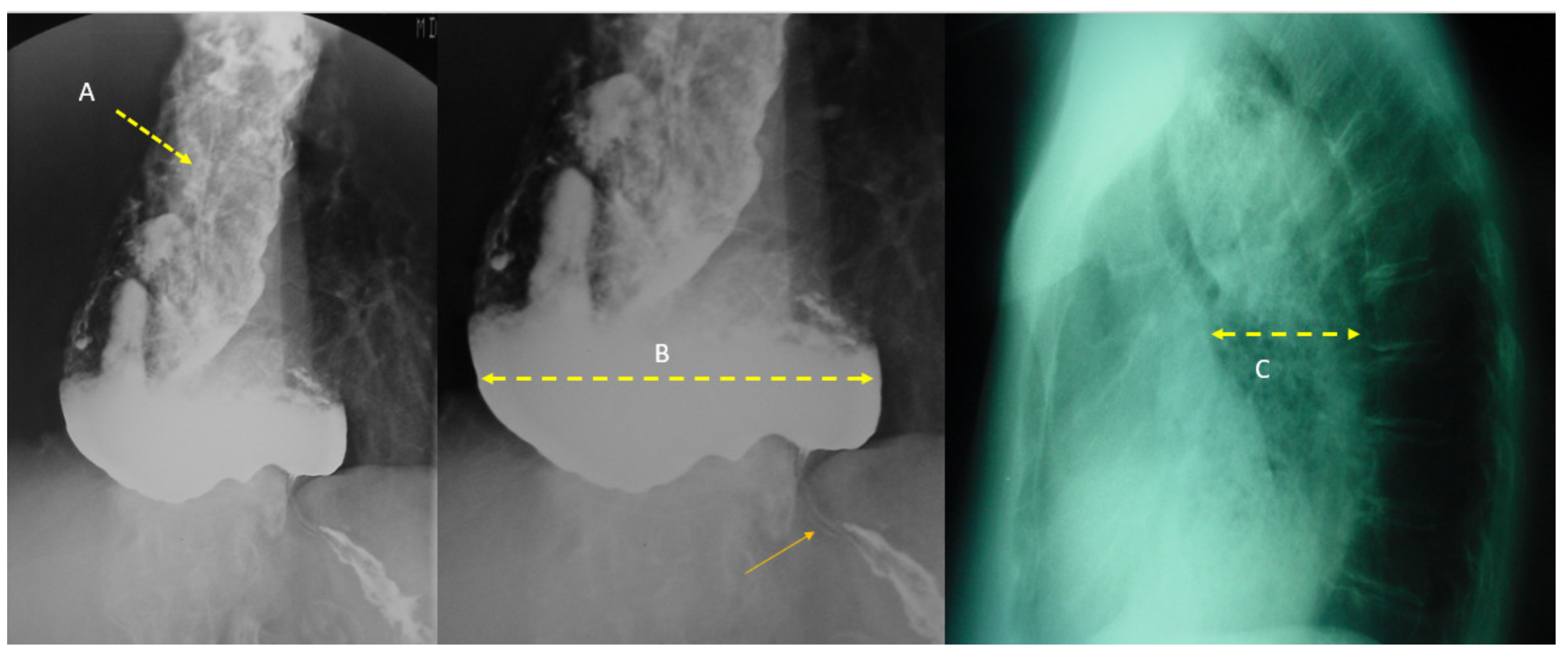 Nutrients 14 04819 g001