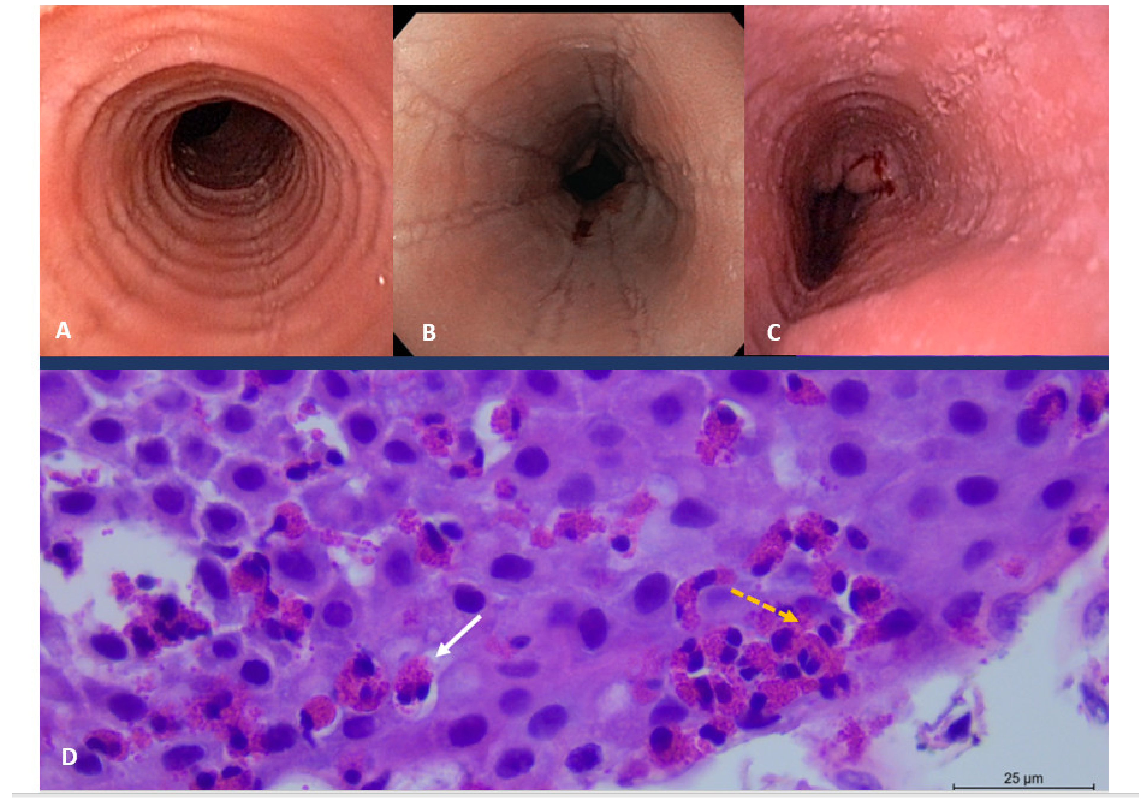 Nutrients 14 04819 g002