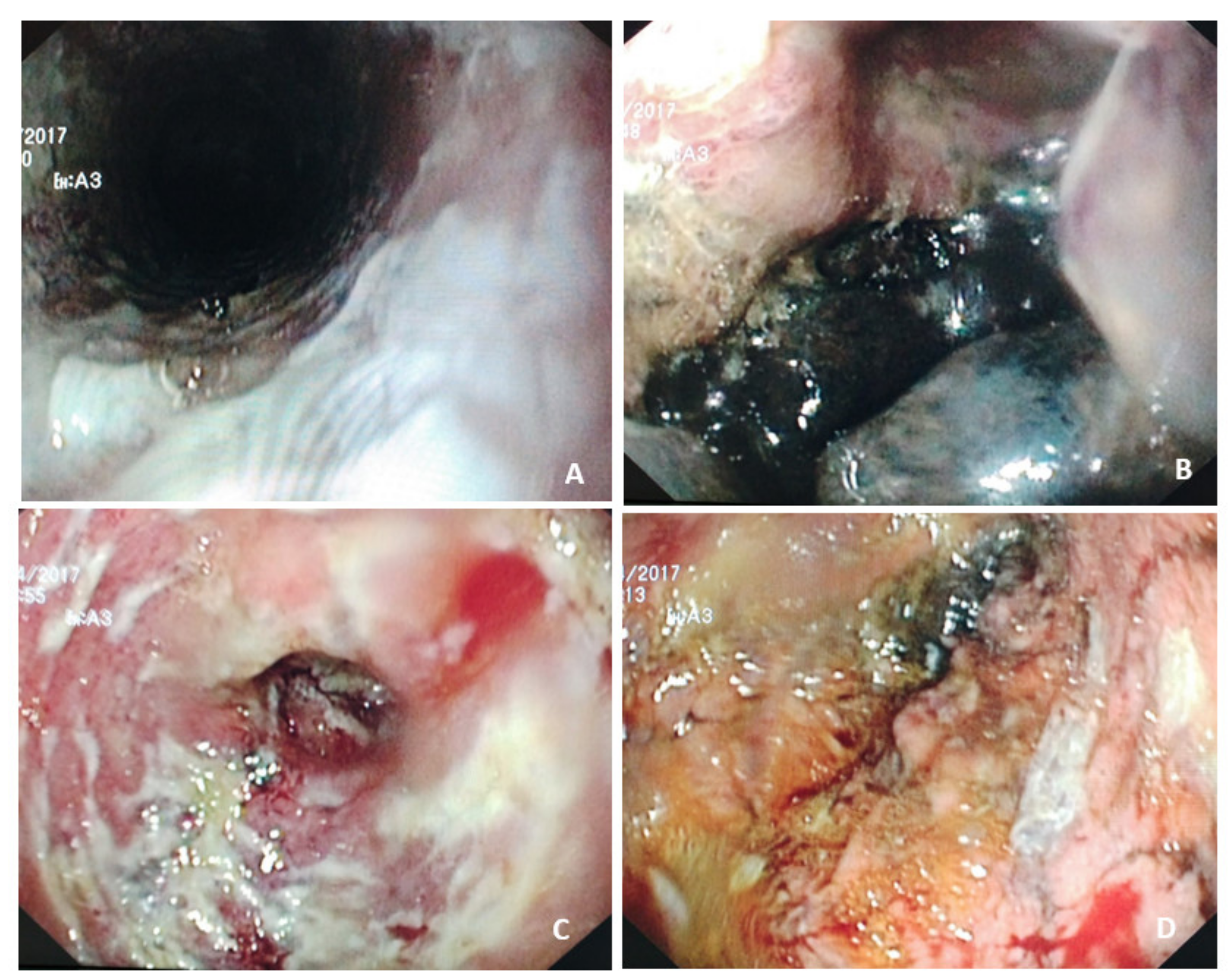 Nutrients 14 04819 g005