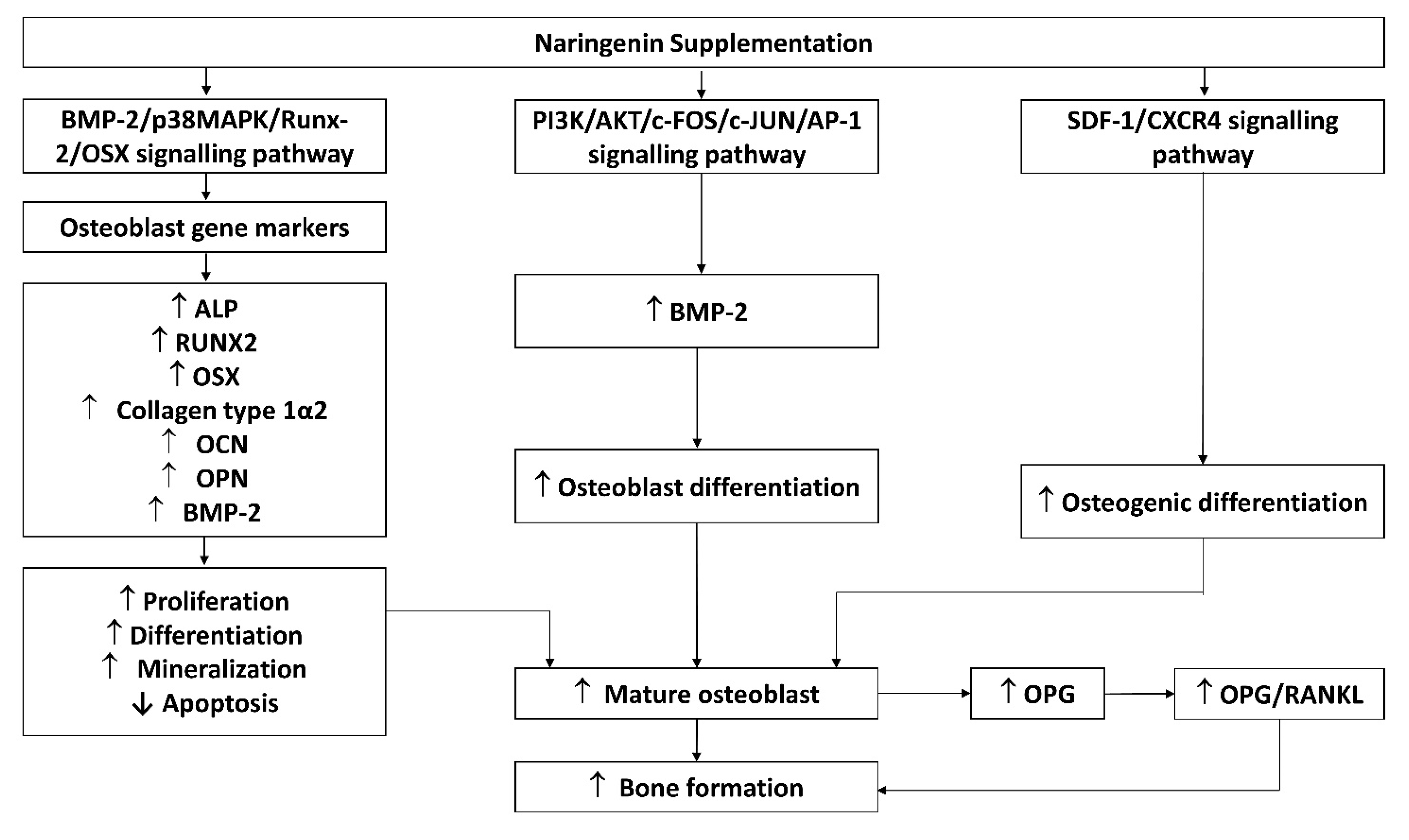 Nutrients 14 04851 g003 Nutrients 14 04851 g003