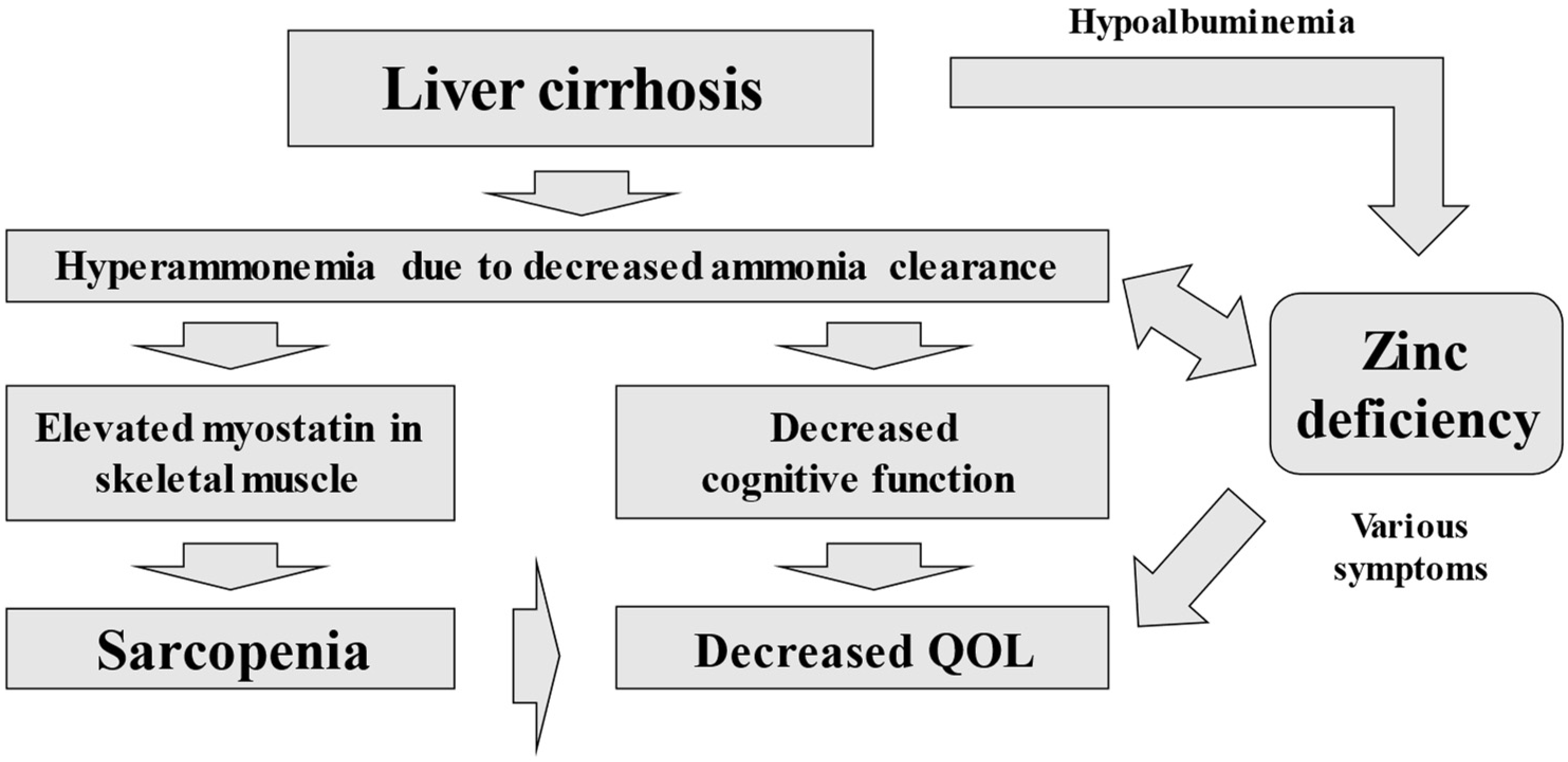 Nutrients 14 04855 g001 Nutrients 14 04855 g001