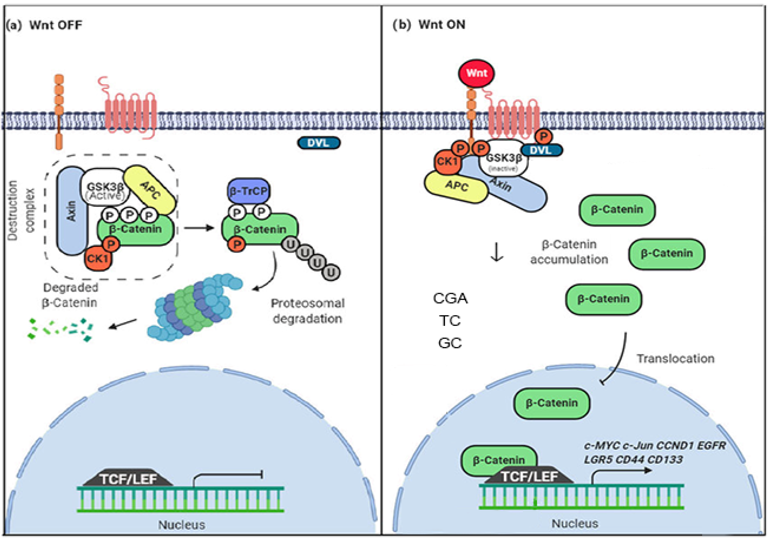 Nutrients 14 04880 g001 Nutrients 14 04880 g001