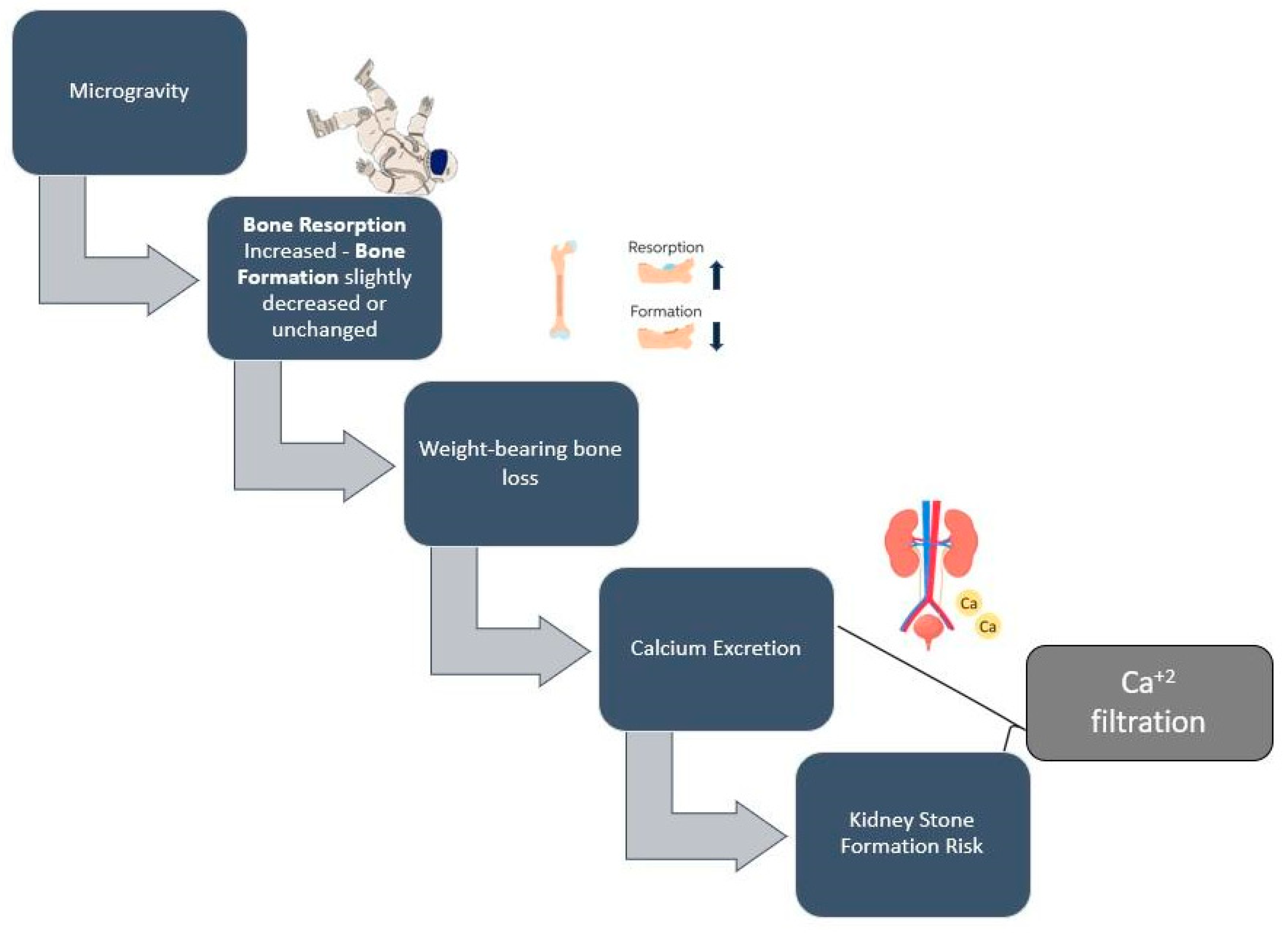 Nutrients 14 04896 g002 Nutrients 14 04896 g002