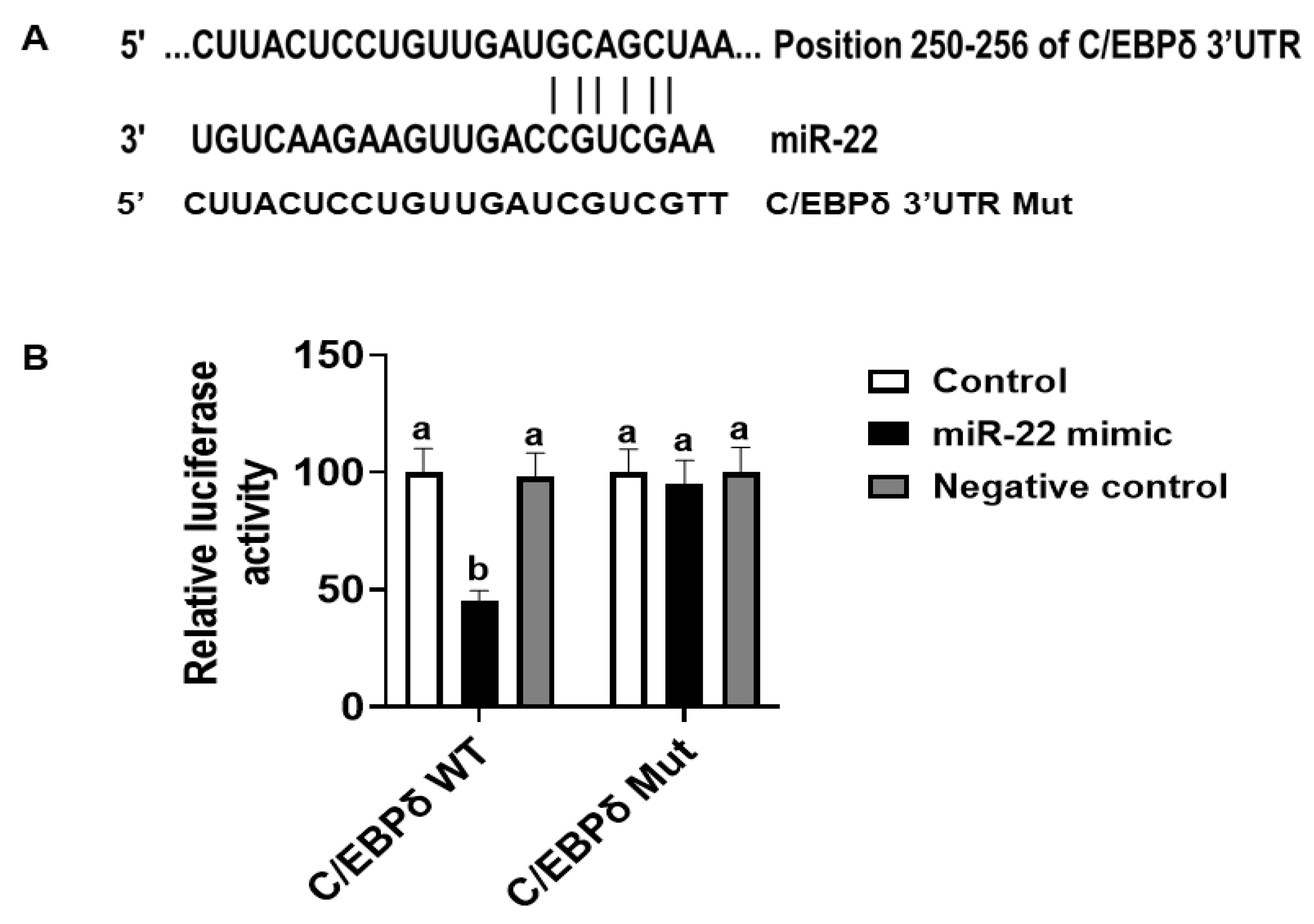 Nutrients 14 04901 g004 Nutrients 14 04901 g004