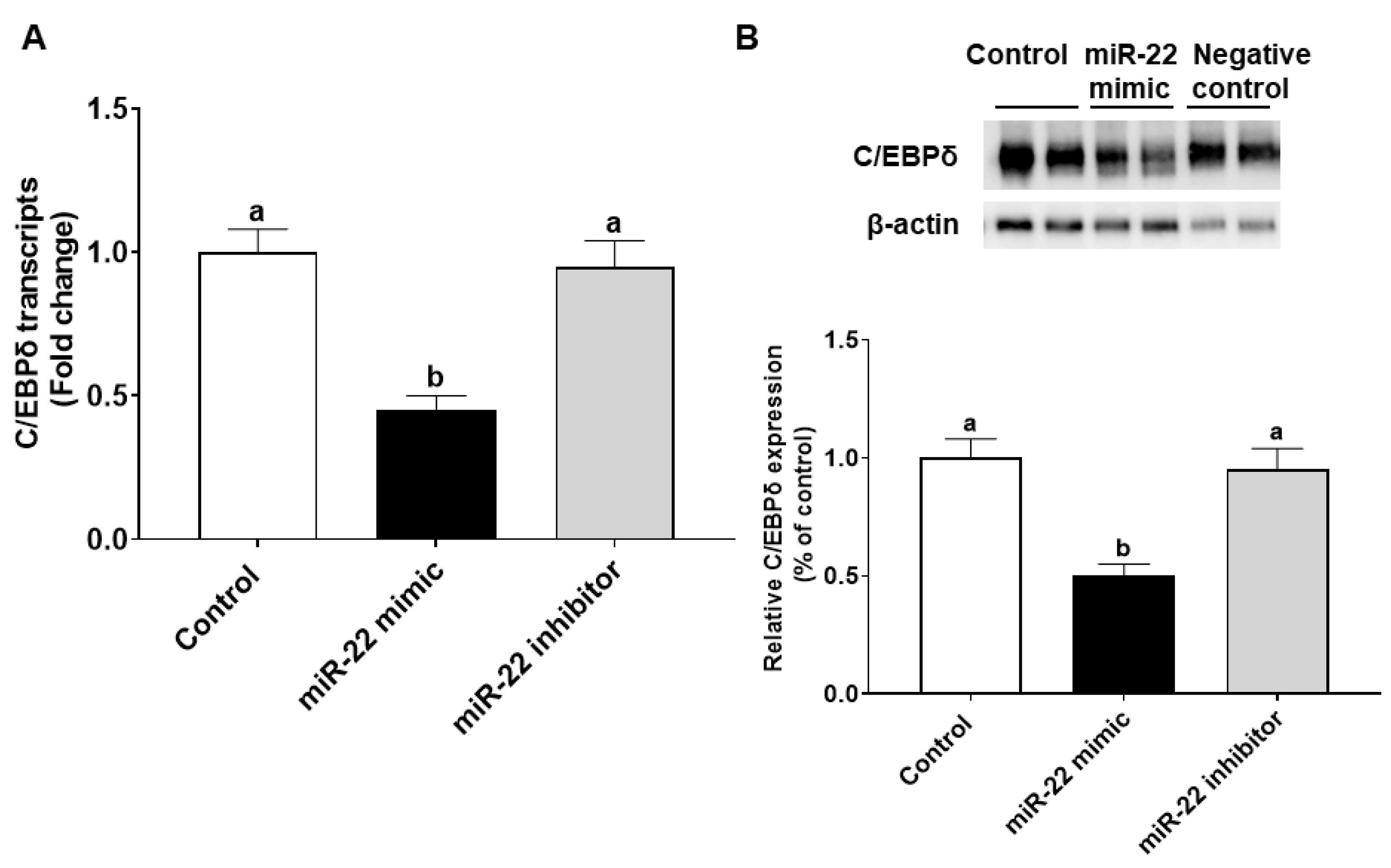 Nutrients 14 04901 g005 Nutrients 14 04901 g005