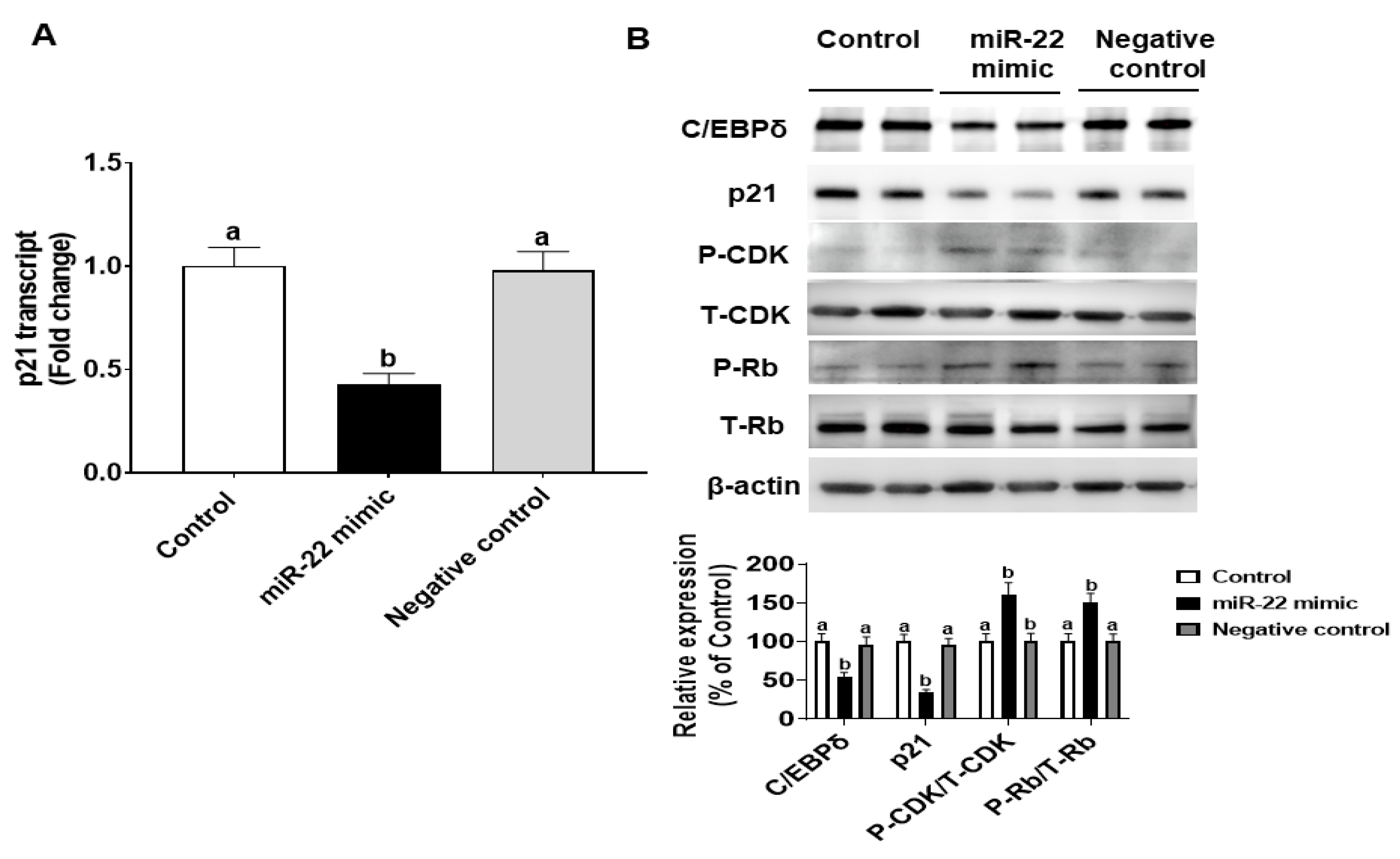 Nutrients 14 04901 g007 Nutrients 14 04901 g007