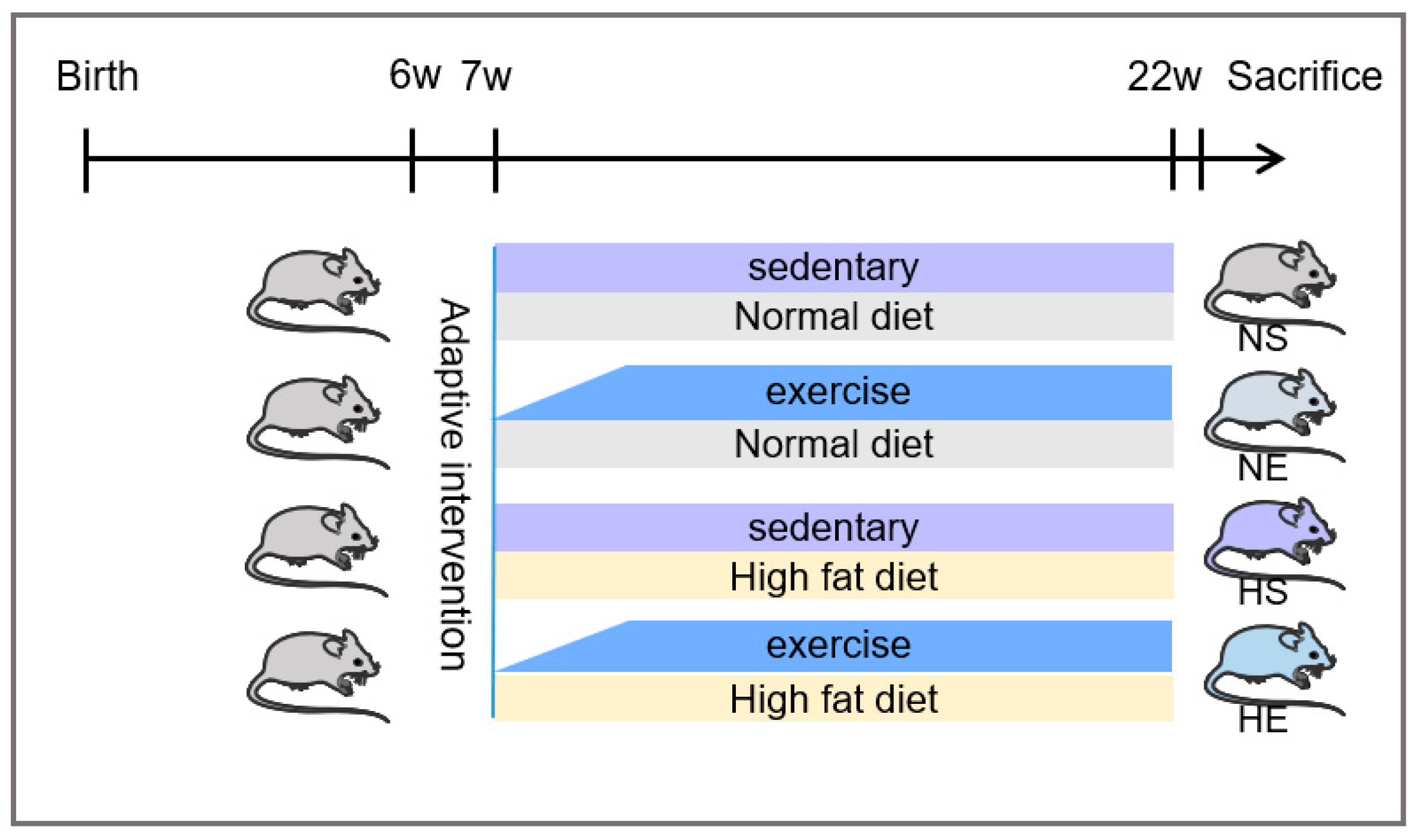 Nutrients 14 04910 g001