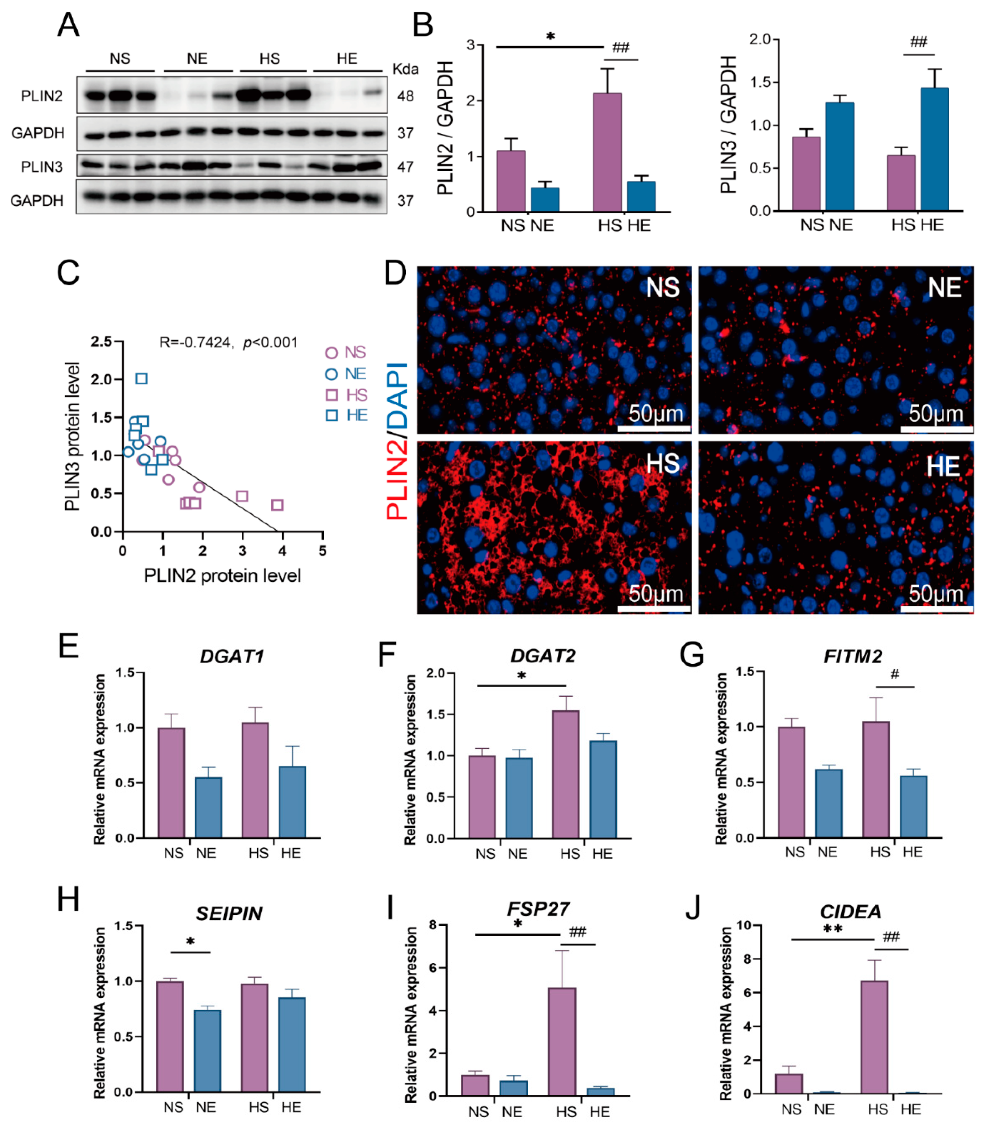 Nutrients 14 04910 g004