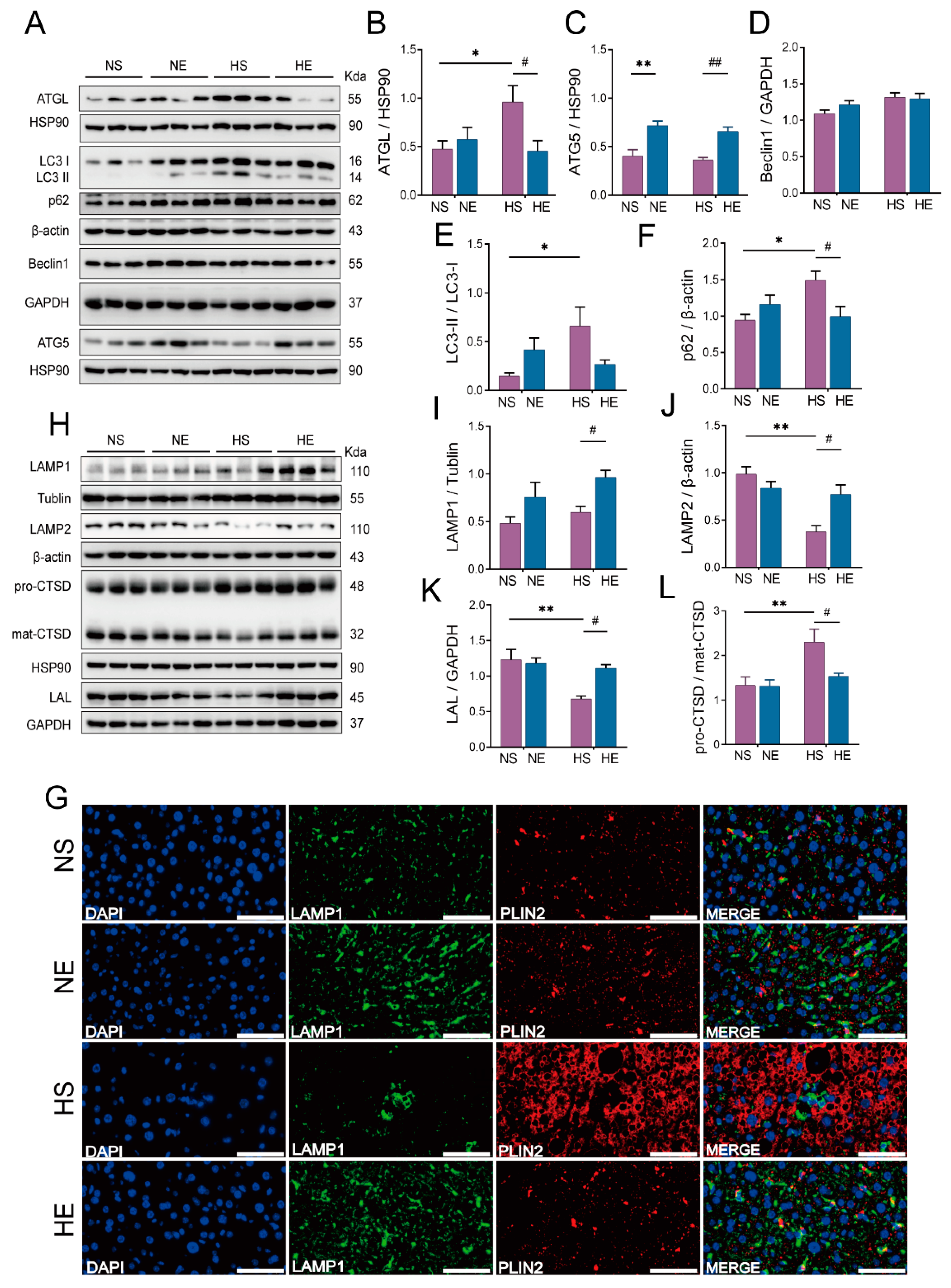 Nutrients 14 04910 g005