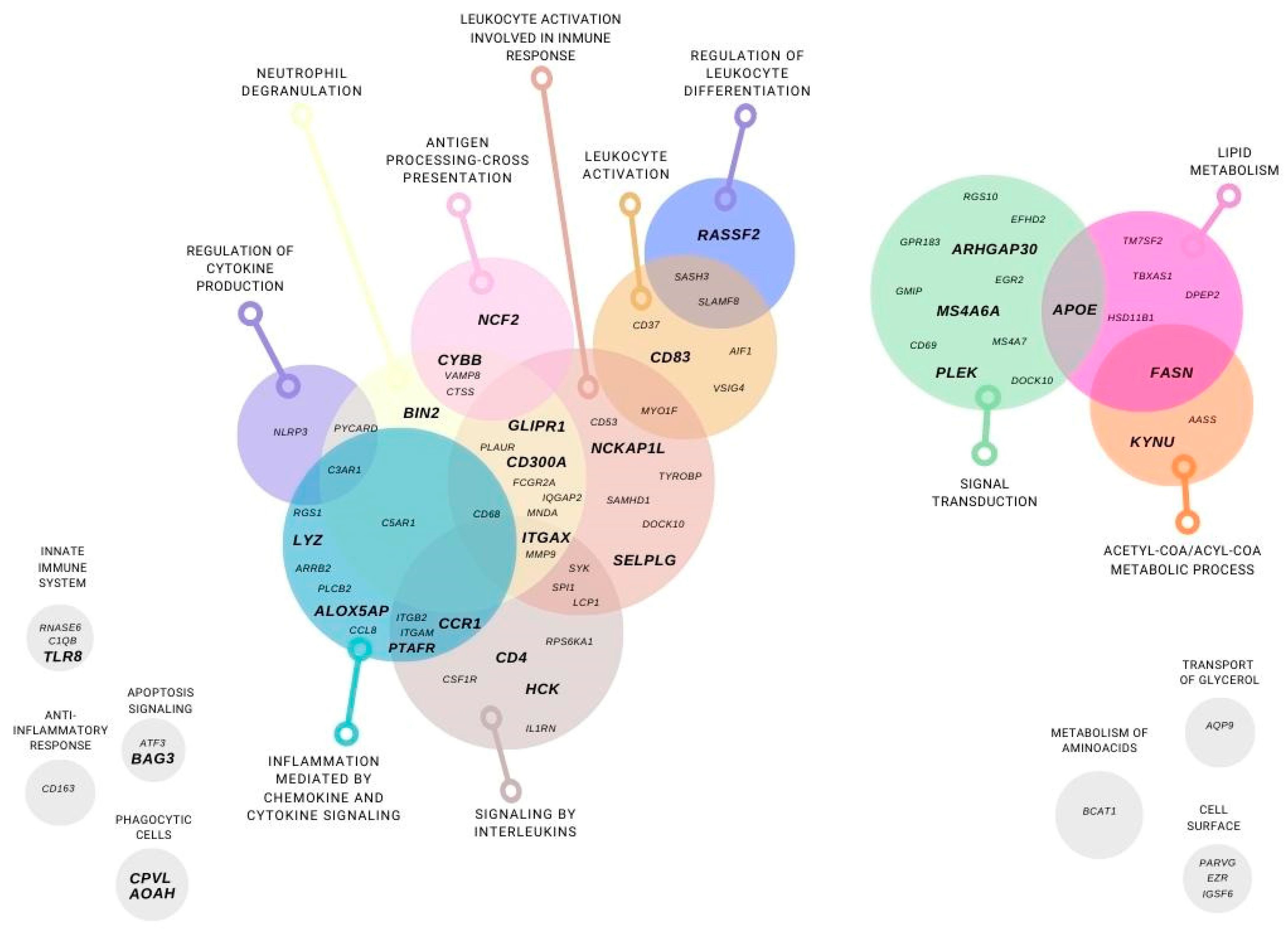 Nutrients 14 04925 g004 Nutrients 14 04925 g004